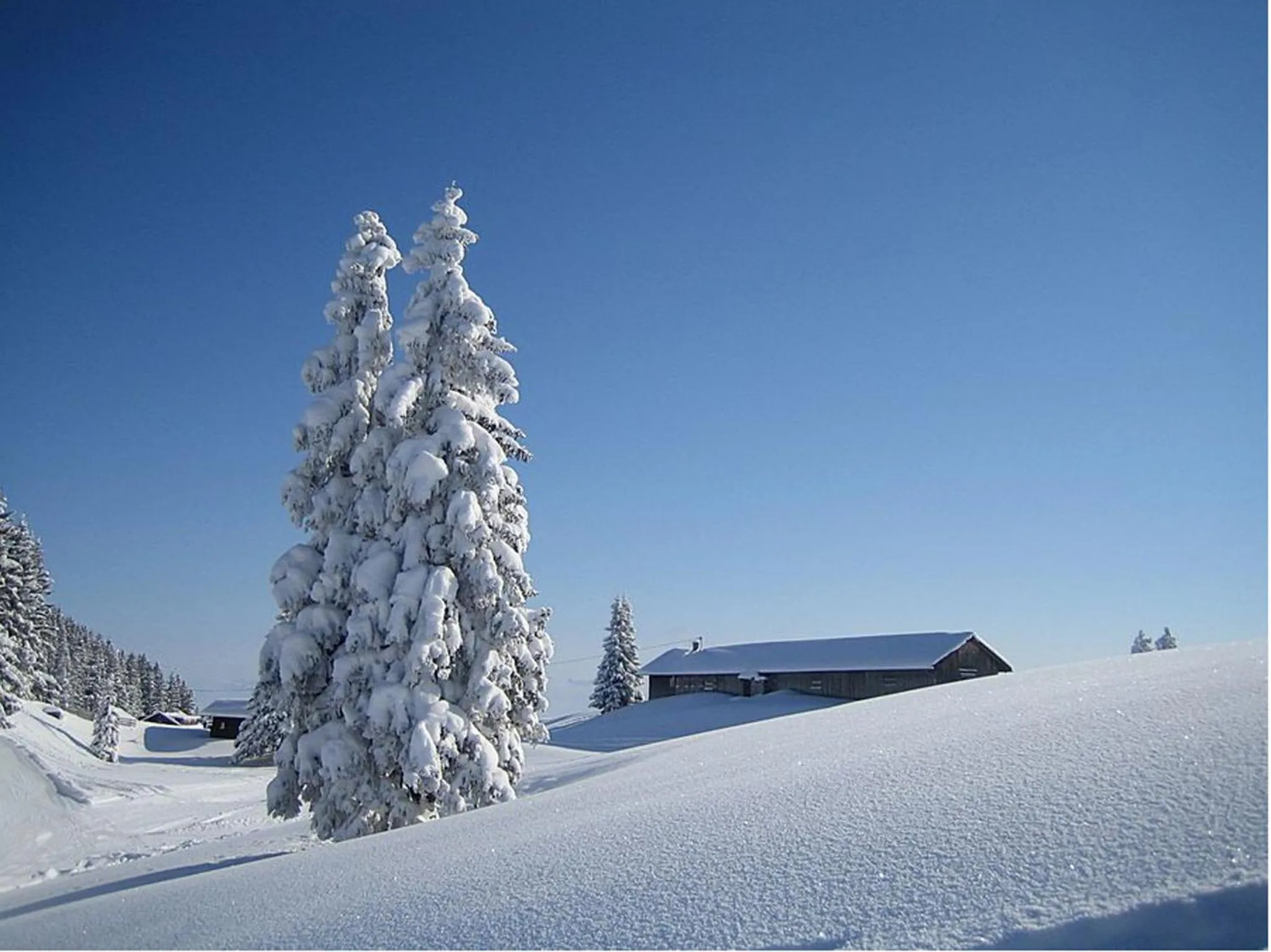 Winter in Veiter-Hof