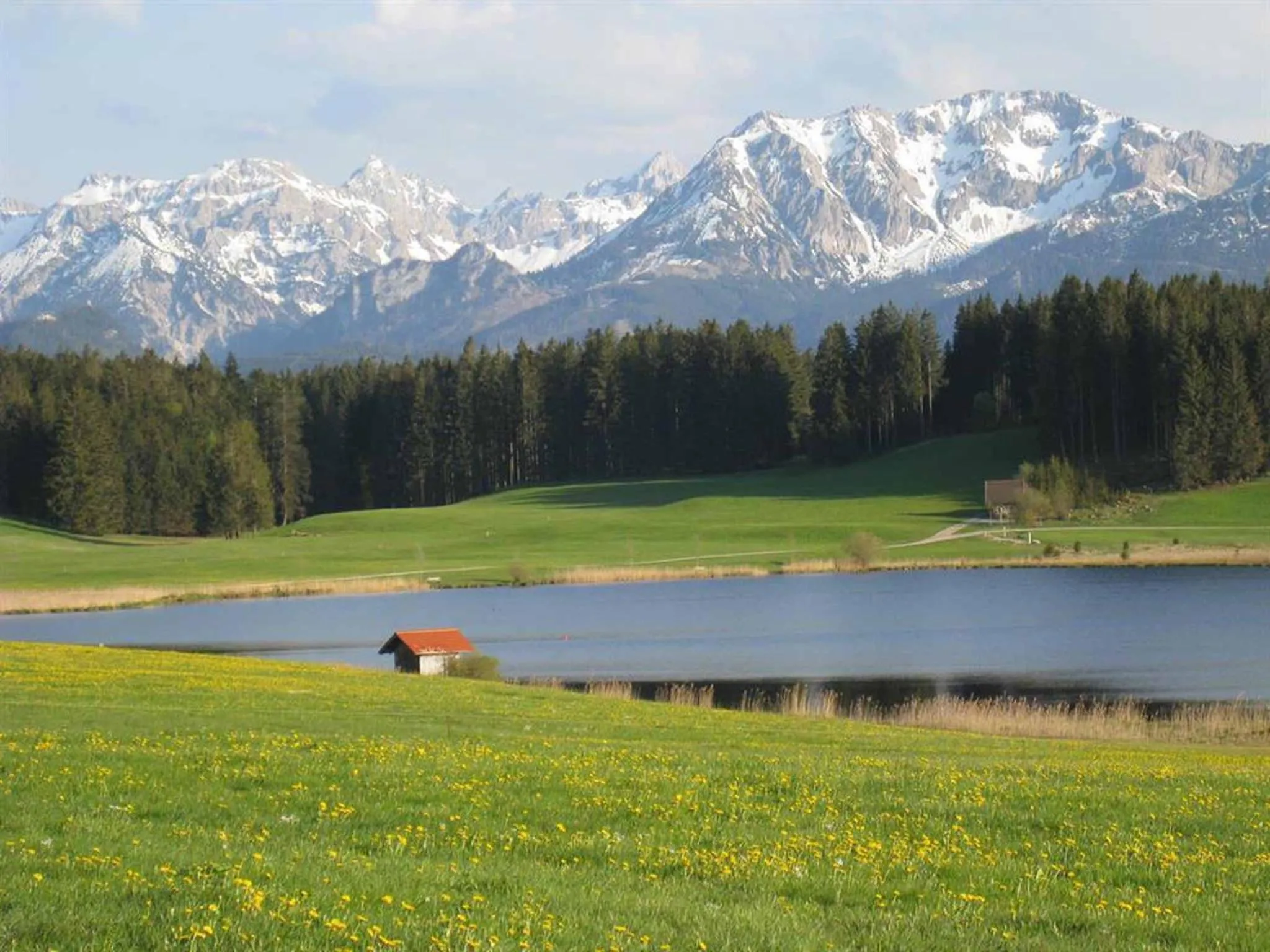 Natural landscape in Veiter-Hof