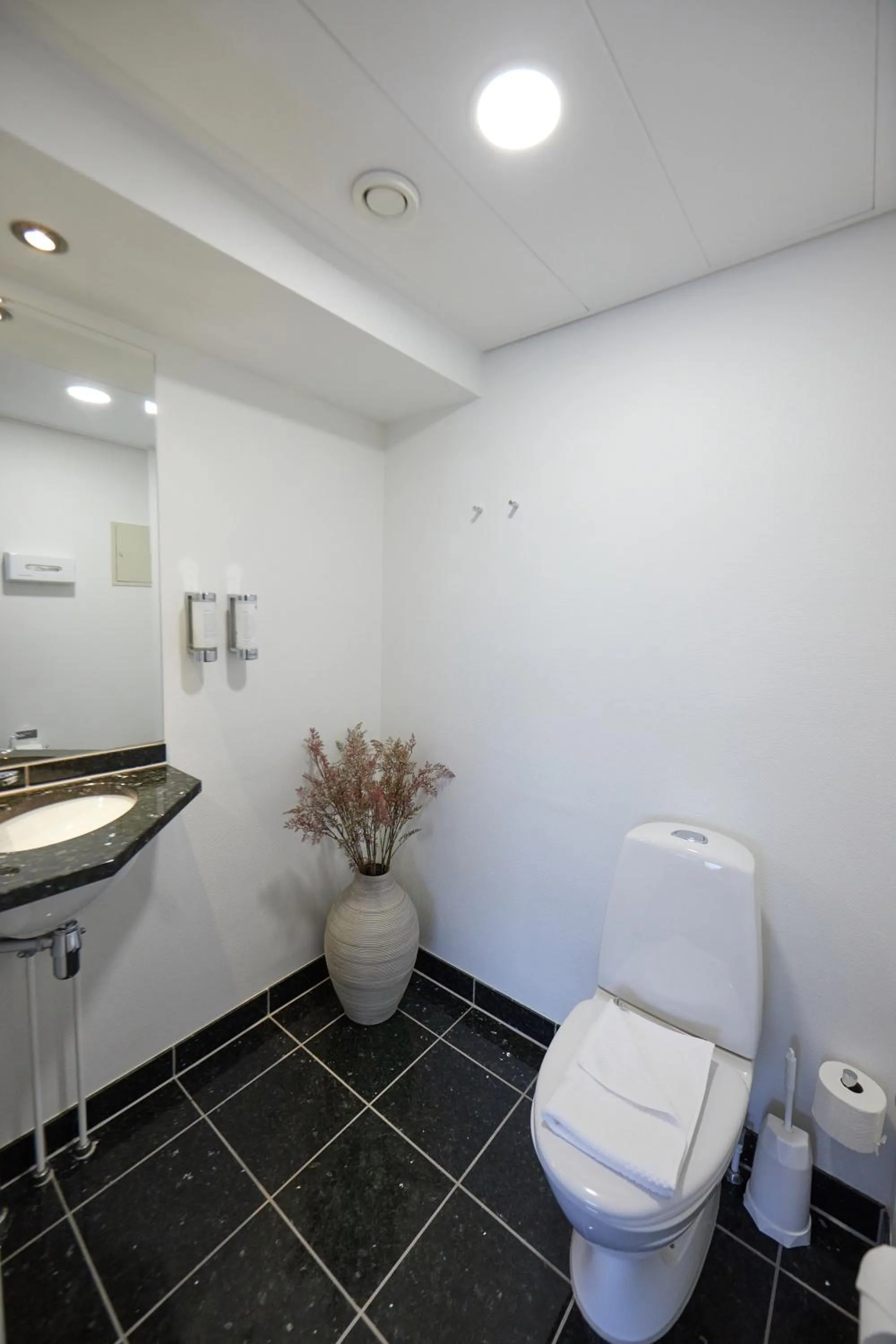 Toilet in Hotel Hans Egede