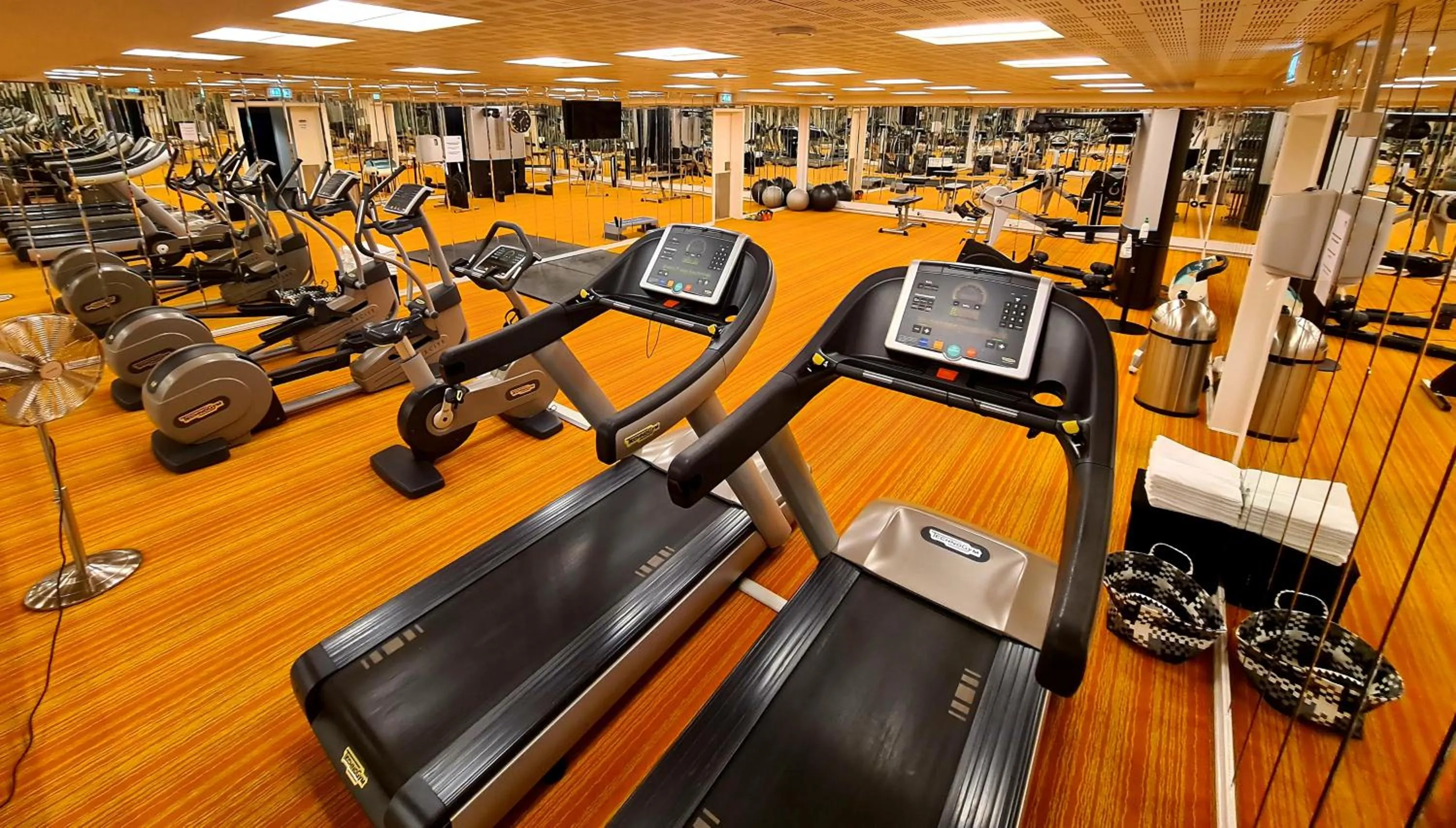 Fitness centre/facilities in Hotel Hans Egede