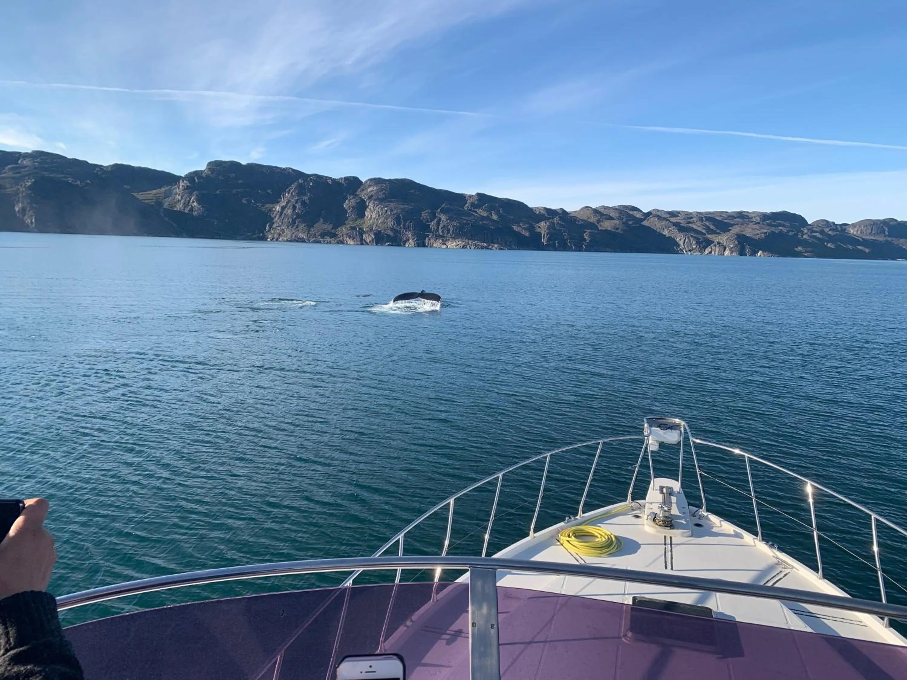 Natural landscape in Hotel Hans Egede