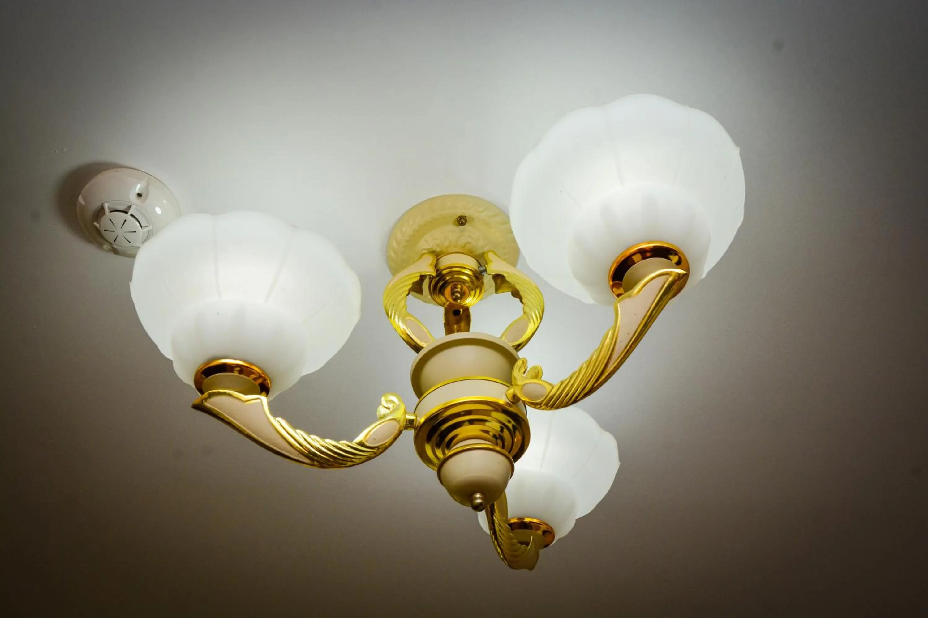 Guest house VRAZHDEBNA