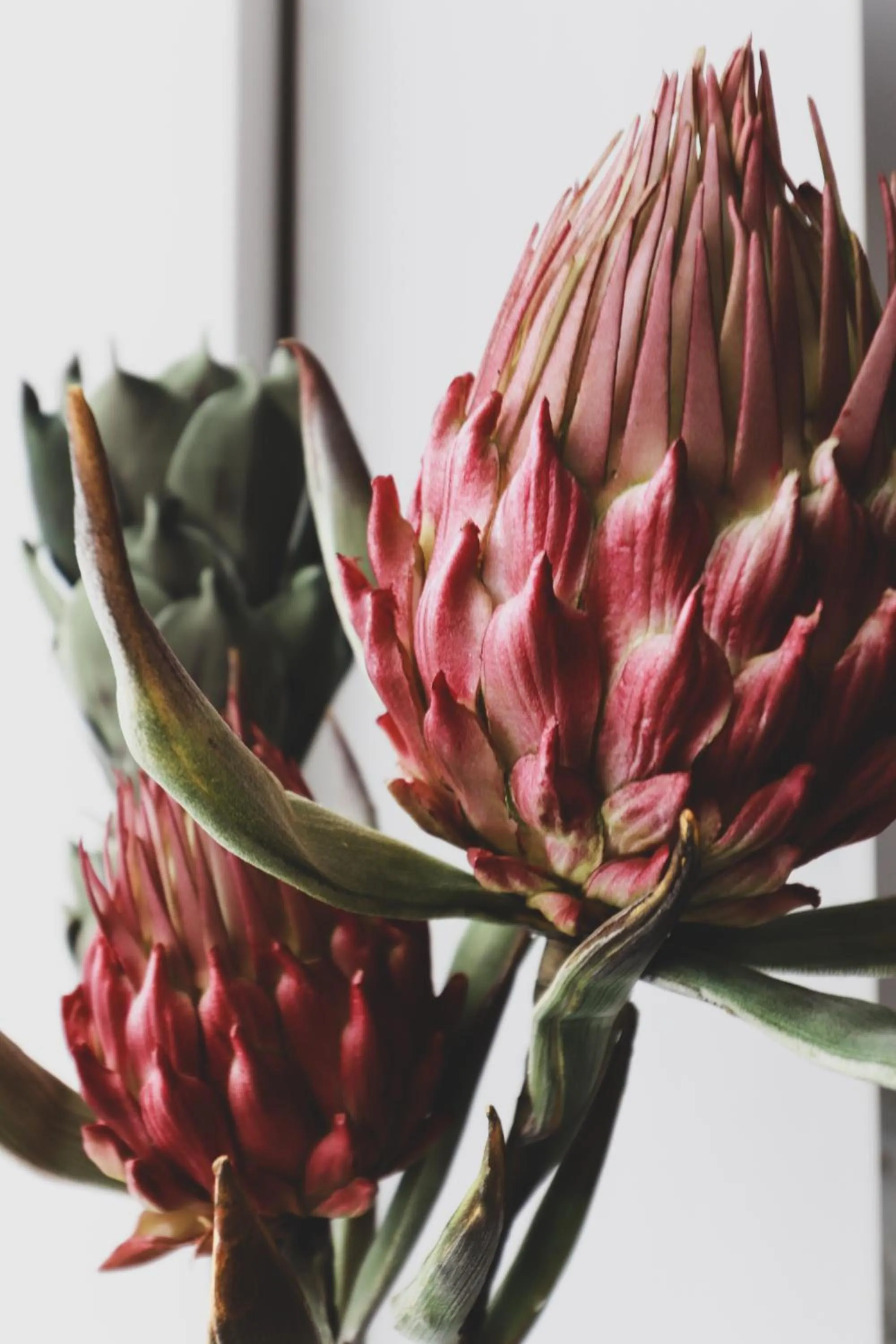 Decorative detail in Chambres d'hôtes Une autre maison