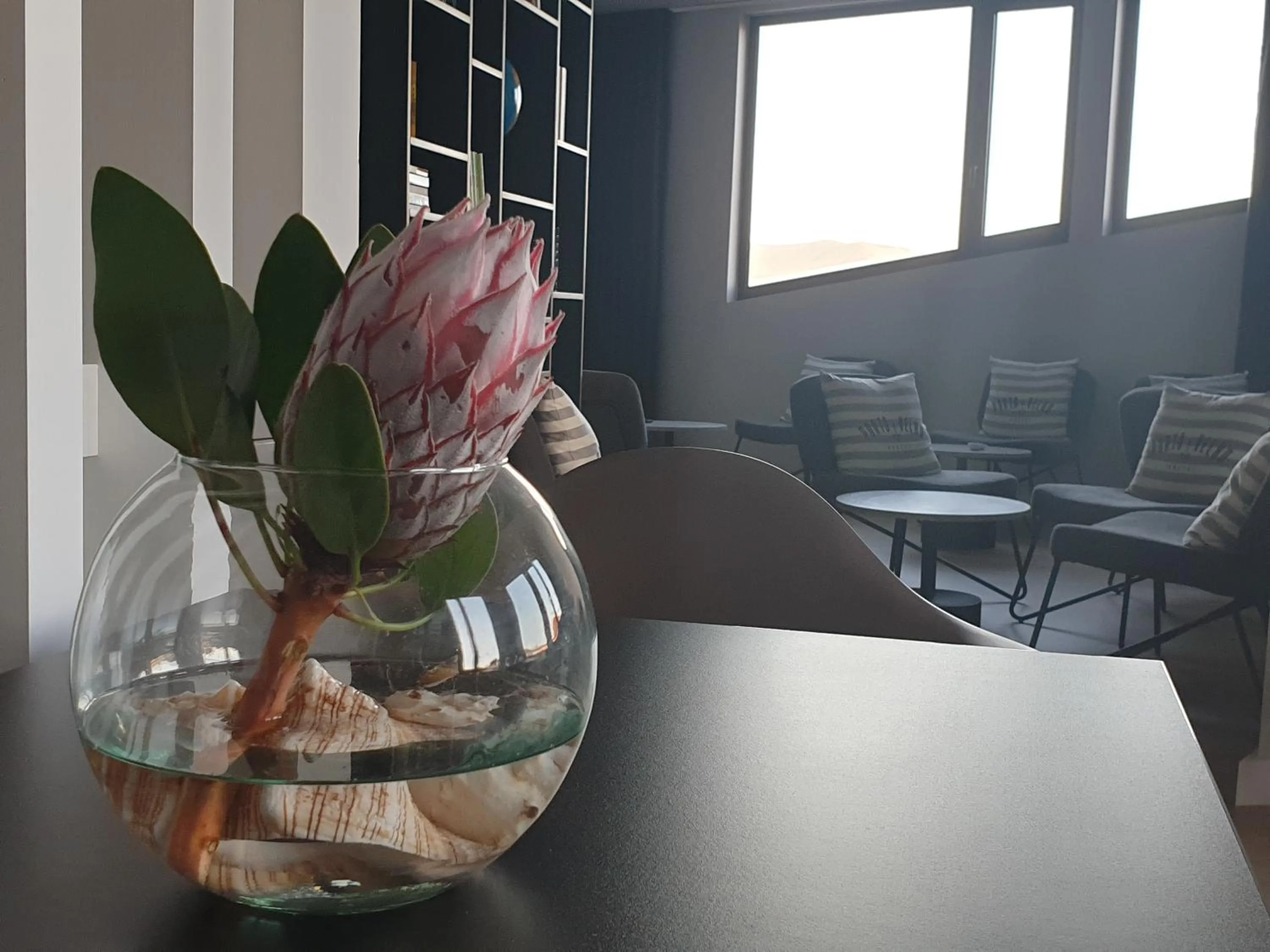 Lounge or bar in Porto Velho Boutique Lodge