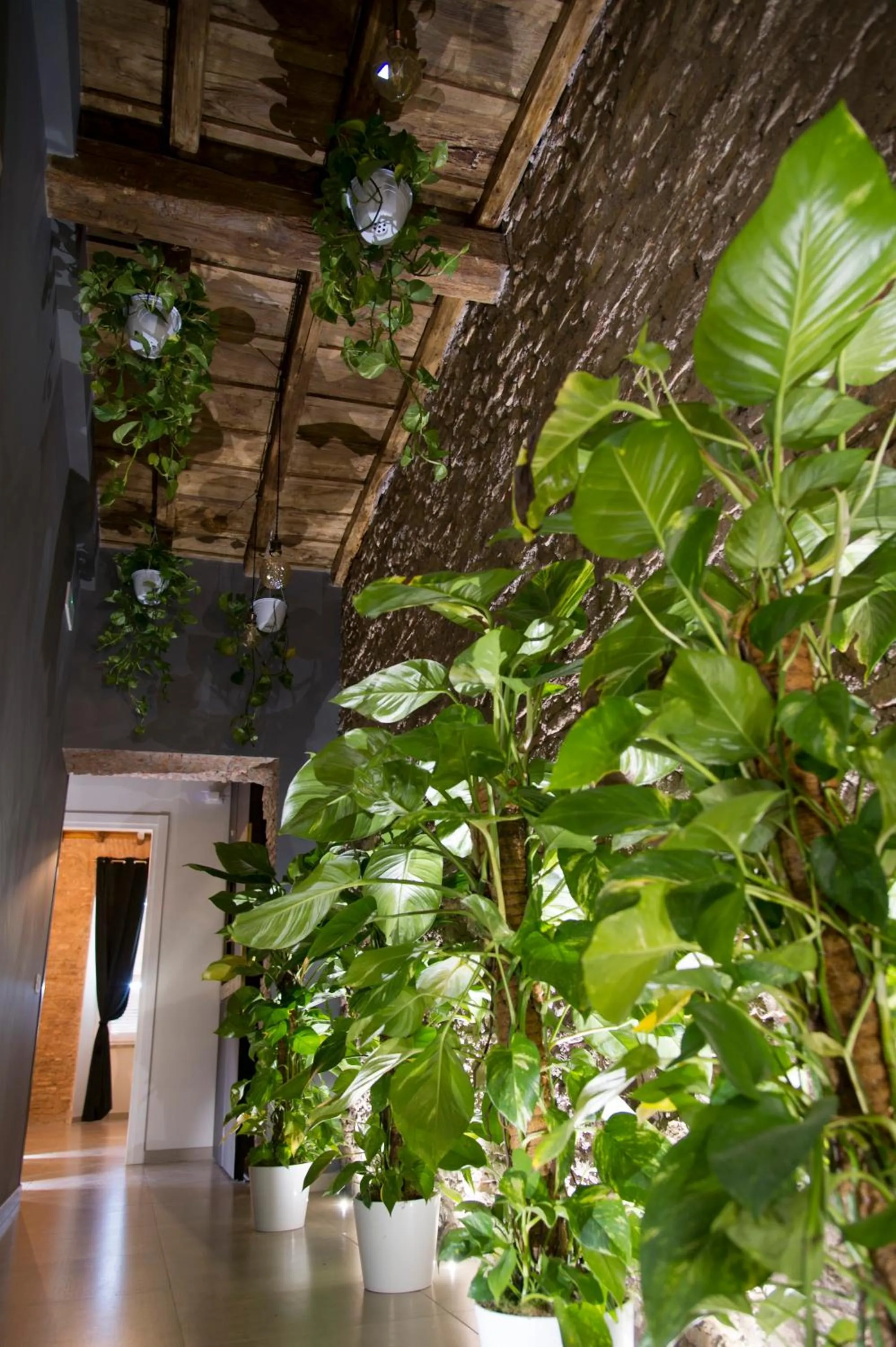 Le Boutique Luxury Rooms diffused in Historic Center