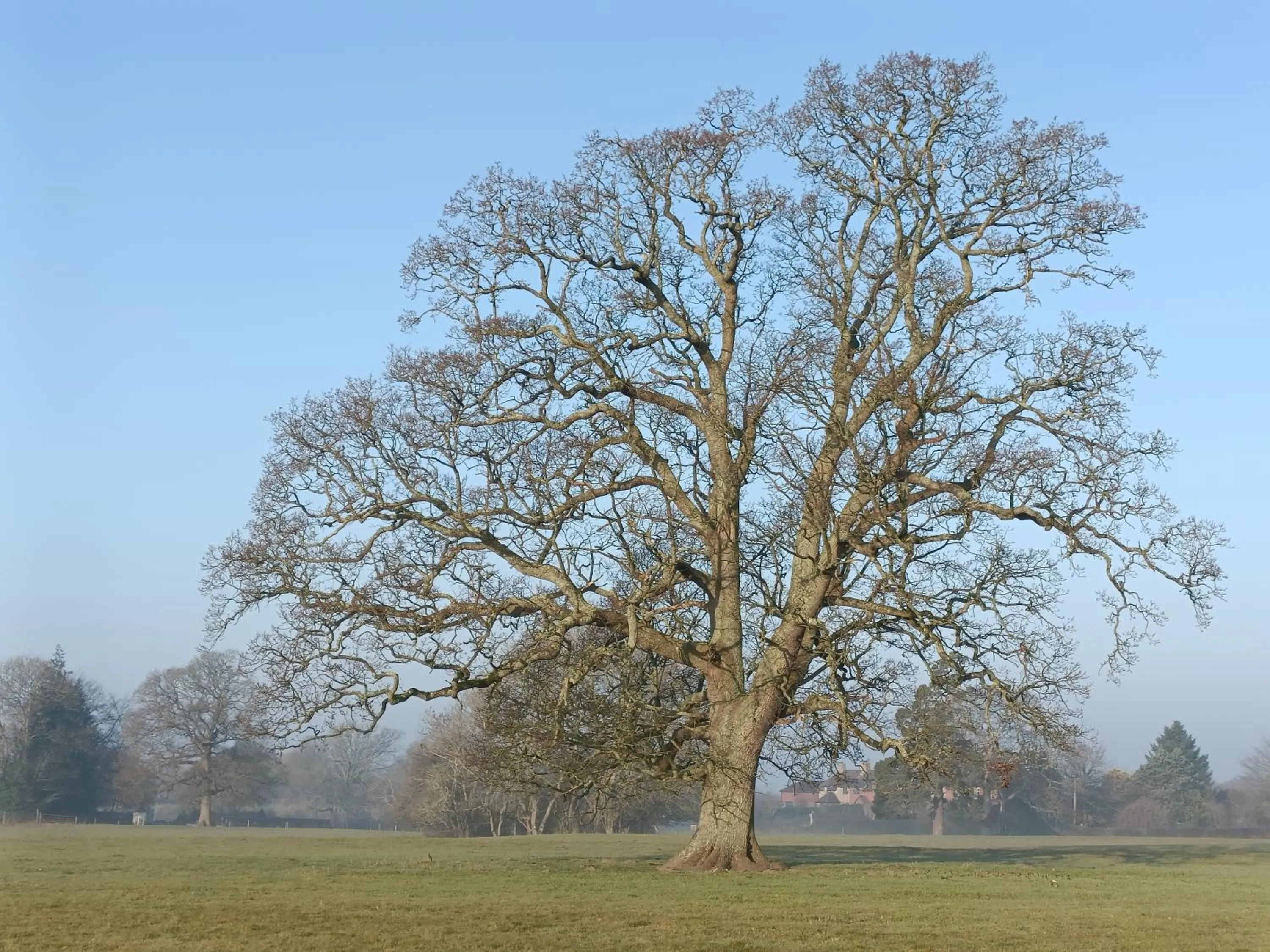 Natural landscape in Keepers Retreat