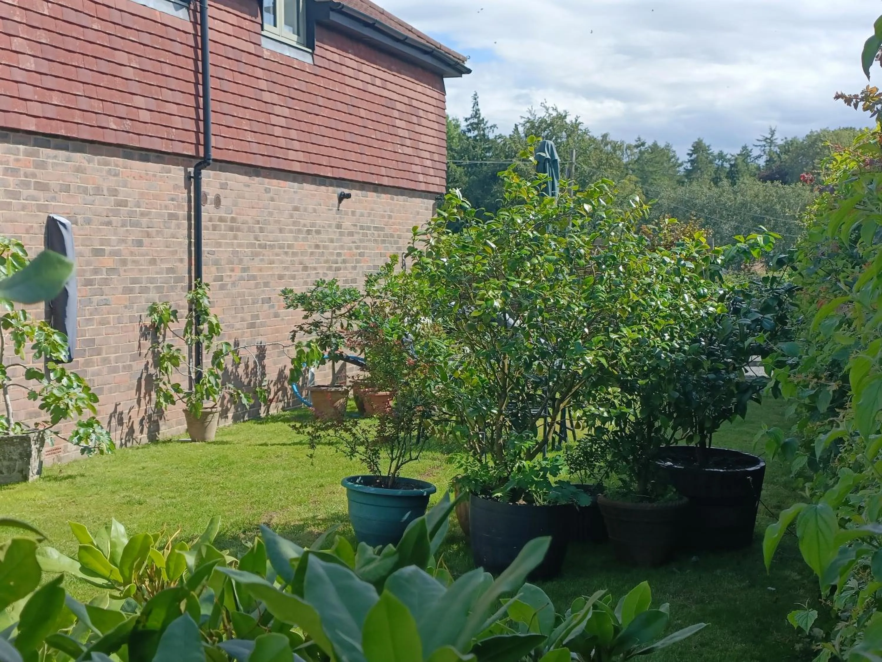 Garden in Keepers Retreat