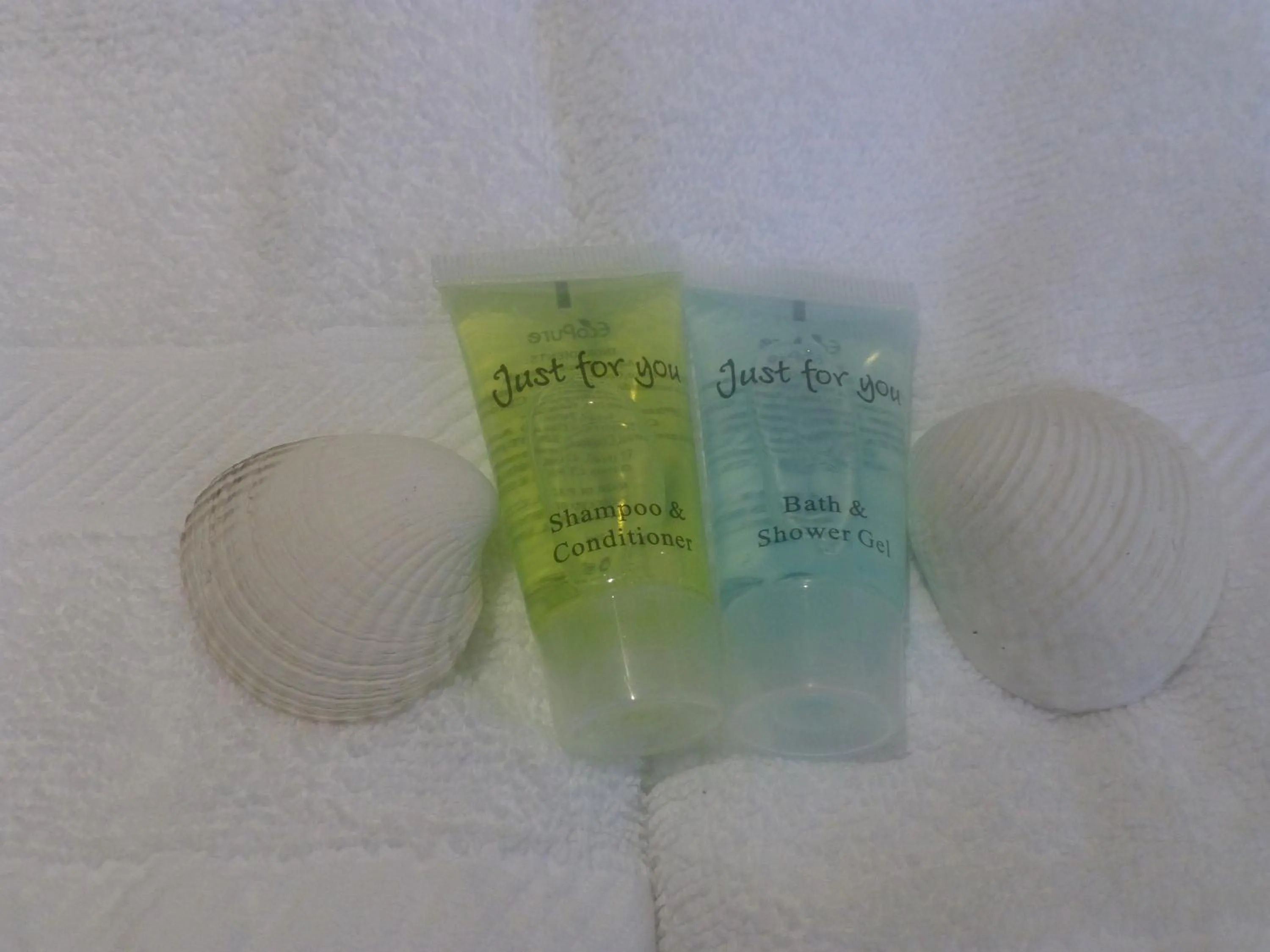 Other in Seagull Cottage B&B