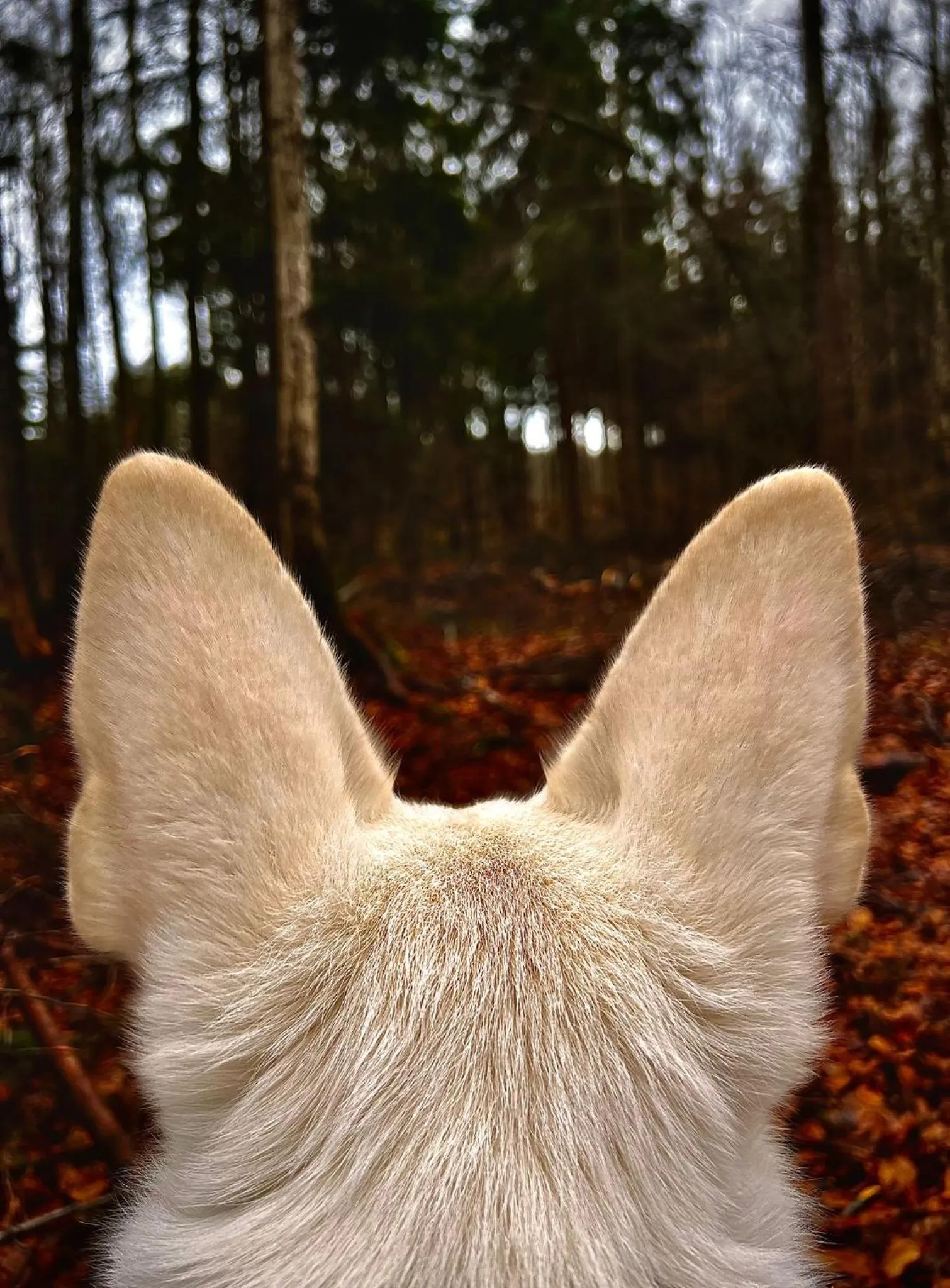 ibis budget Muenchen Putzbrunn