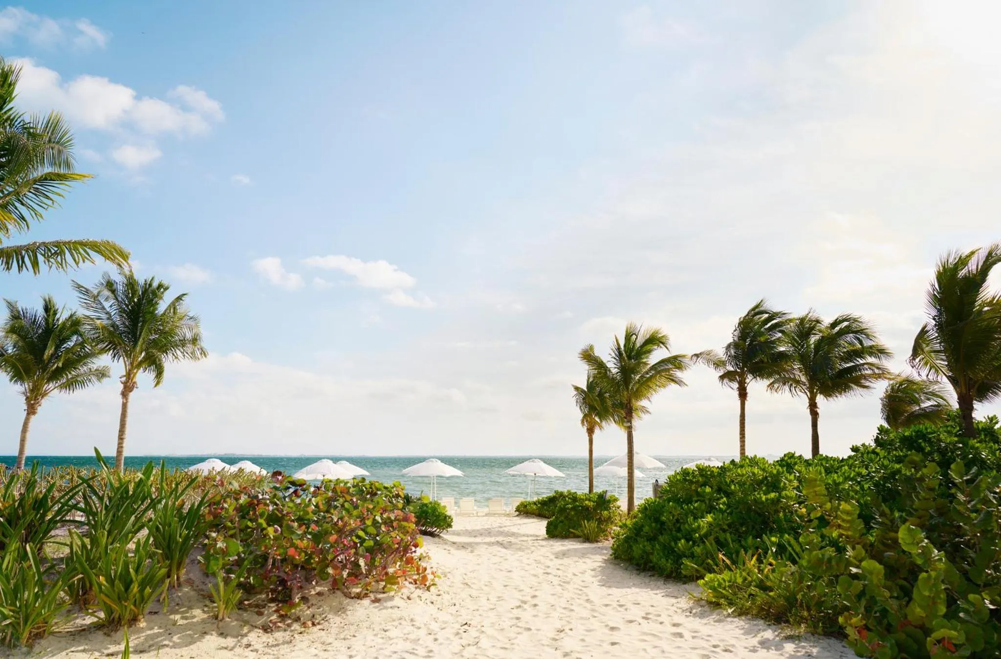 Beach in SLS Playa Mujeres - ALL Inclusive Collection