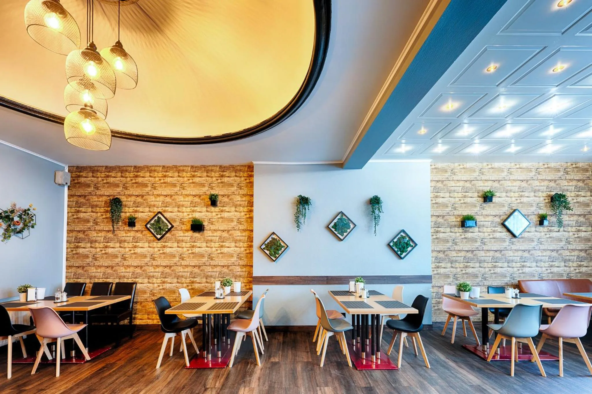 Restaurant/places to eat in Home Hotel