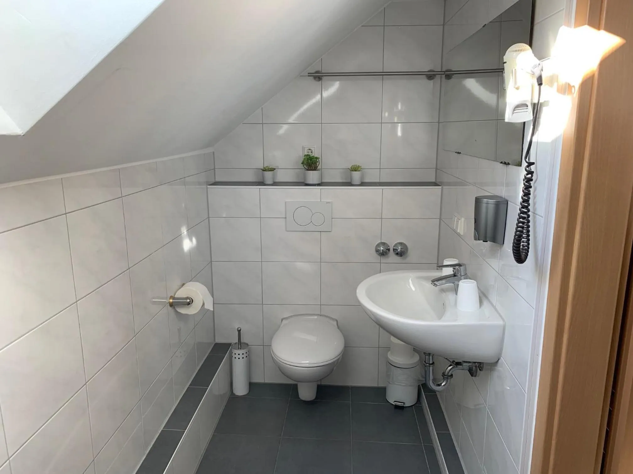 Shower in Hotel zum Adler