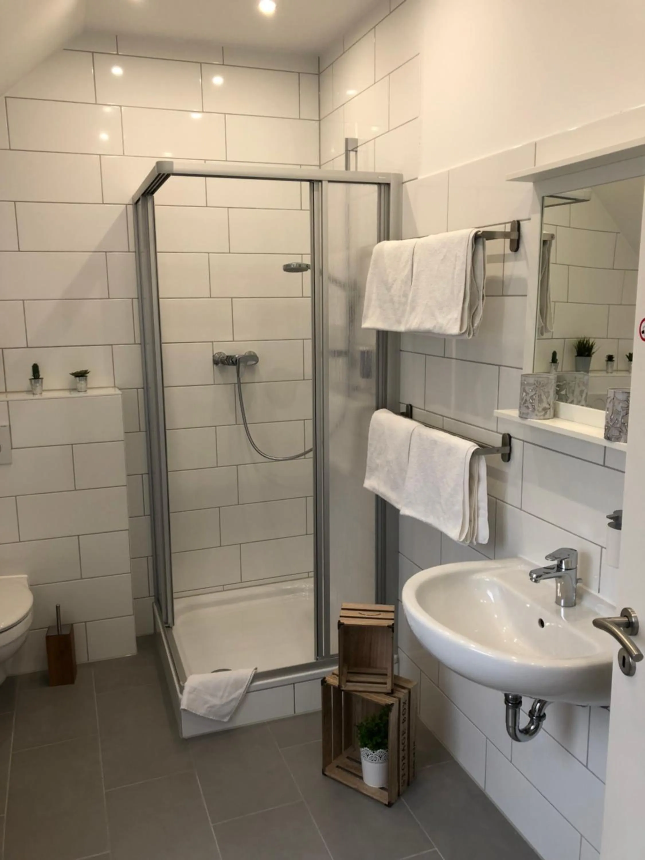 Shower in Hotel zum Adler