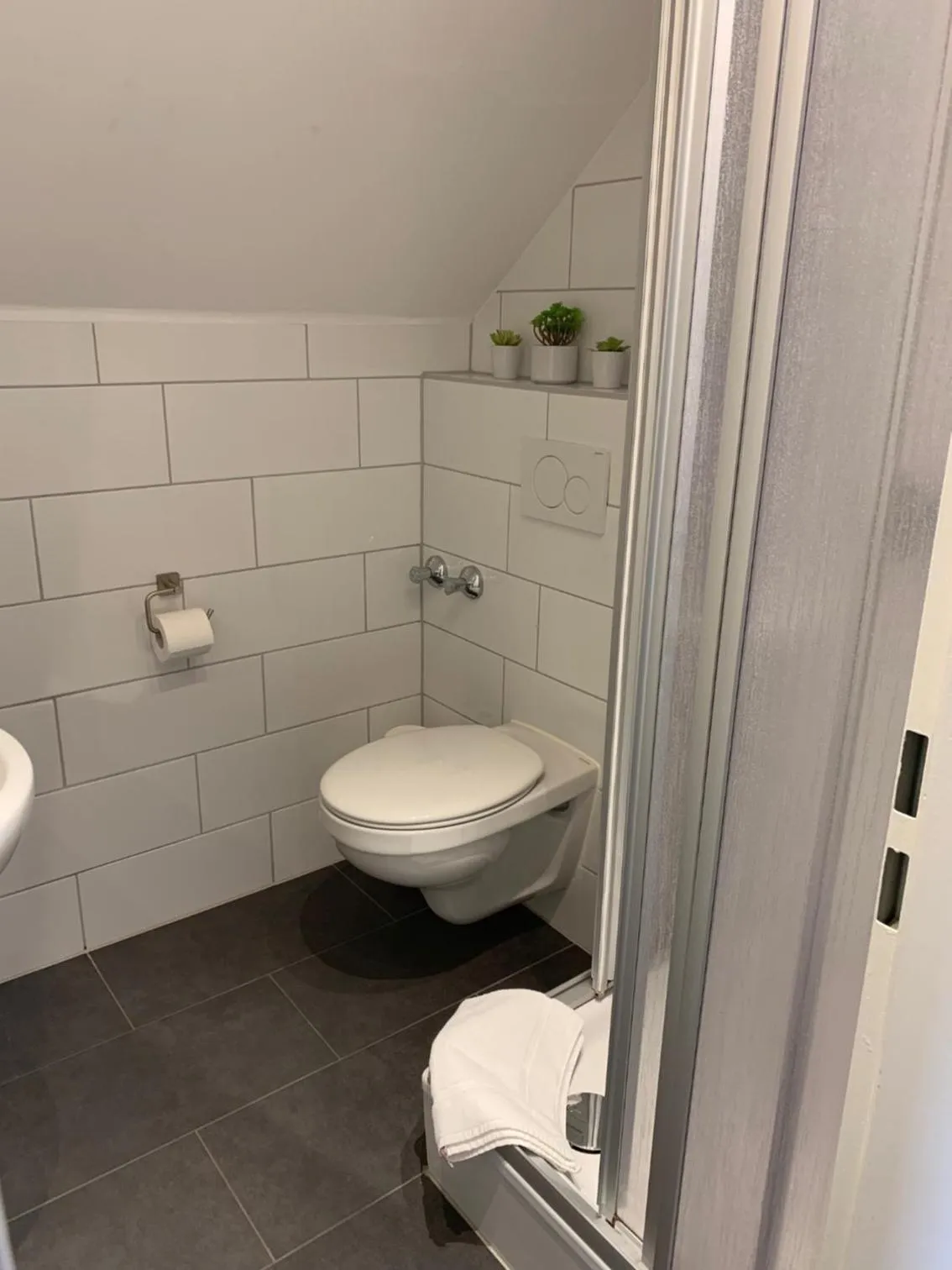 Shower in Hotel zum Adler