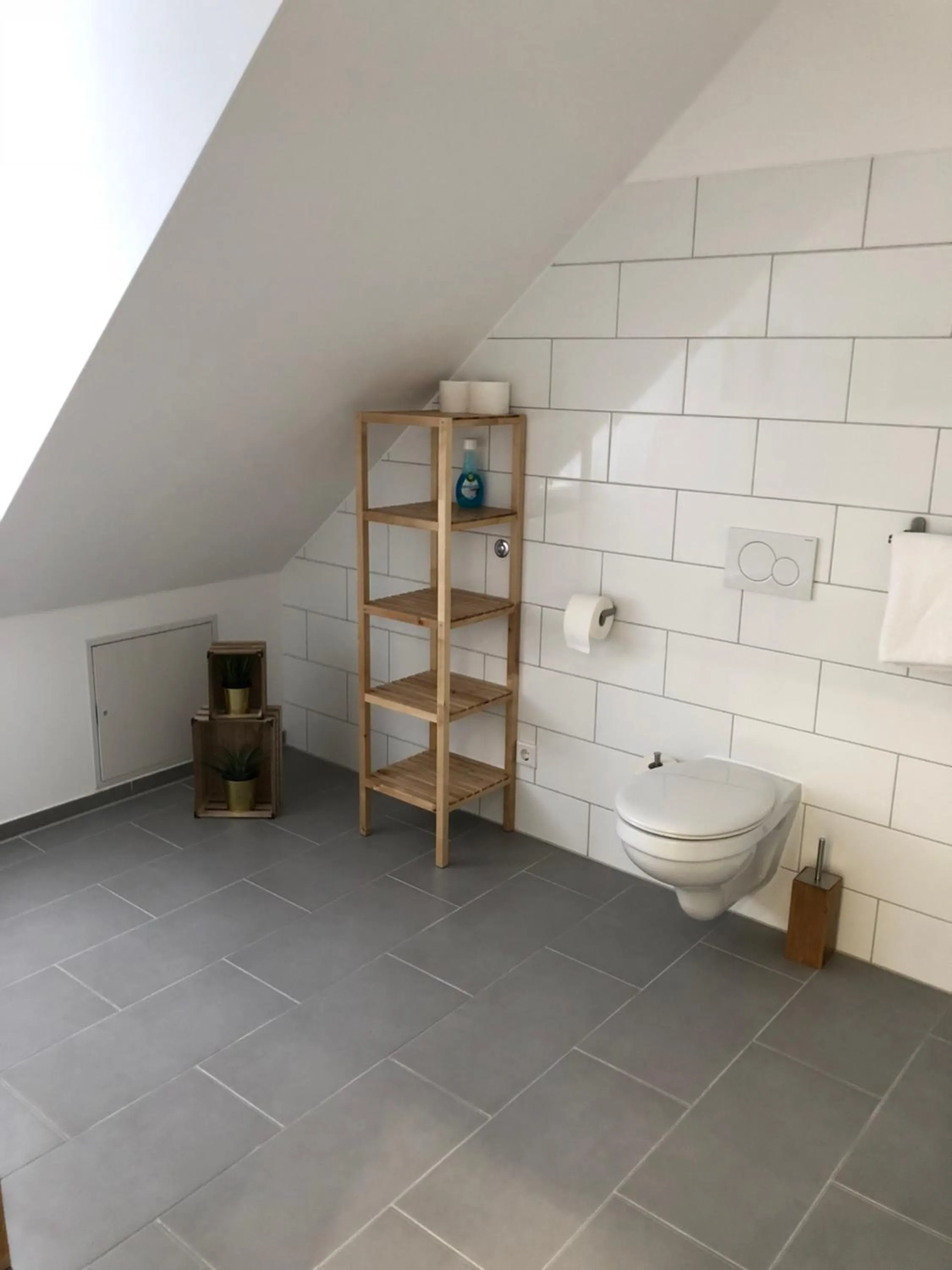 Shower in Hotel zum Adler