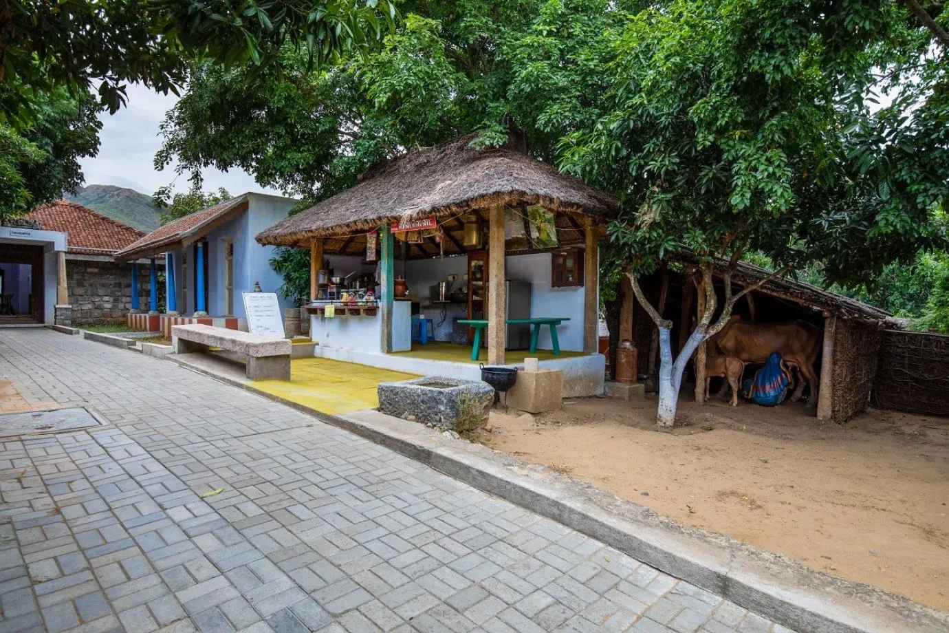 Winter in My Village - Eco Rural Resort