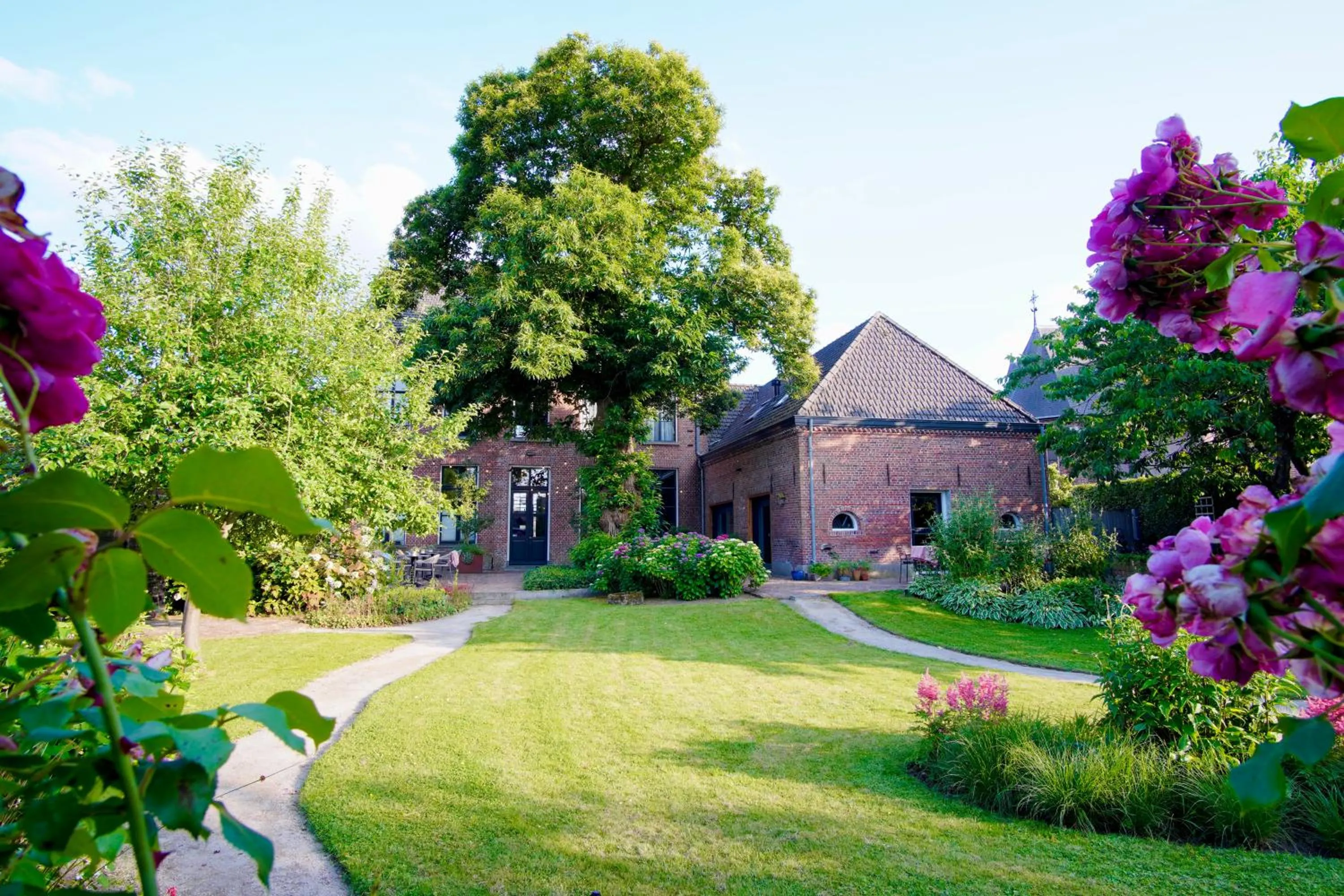 Garden in Boutique hotel Lytel Blue
