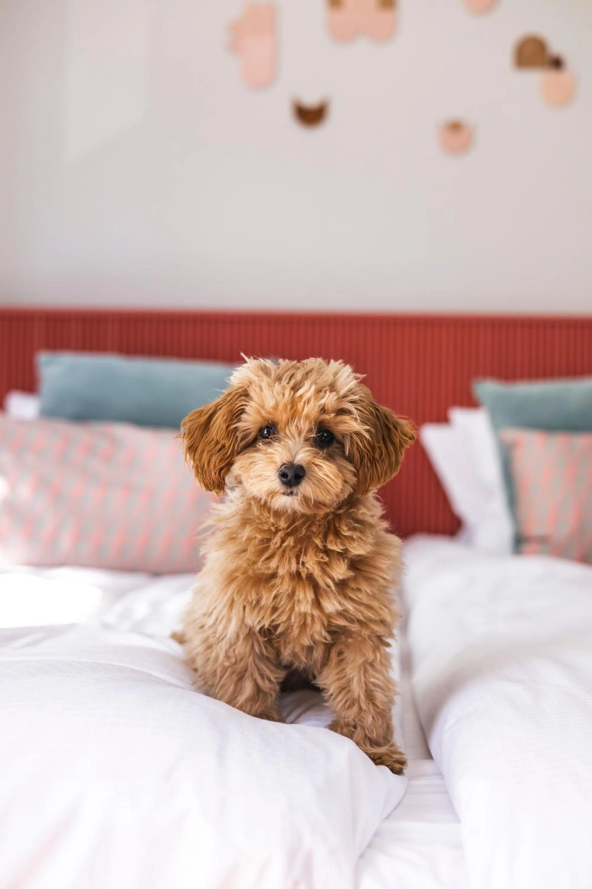Bed in The Folks Hotel Konepaja