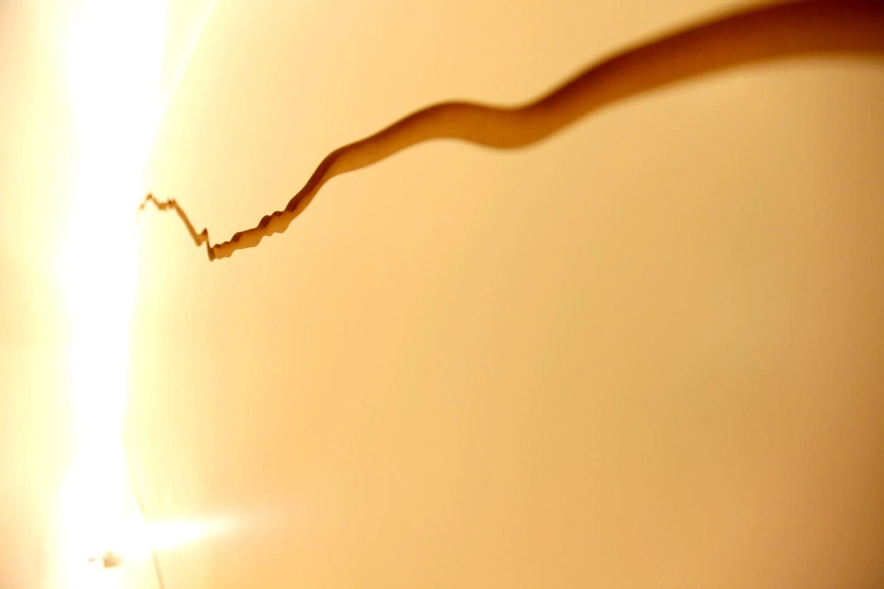 Decorative detail in Flair Hotel Nieder