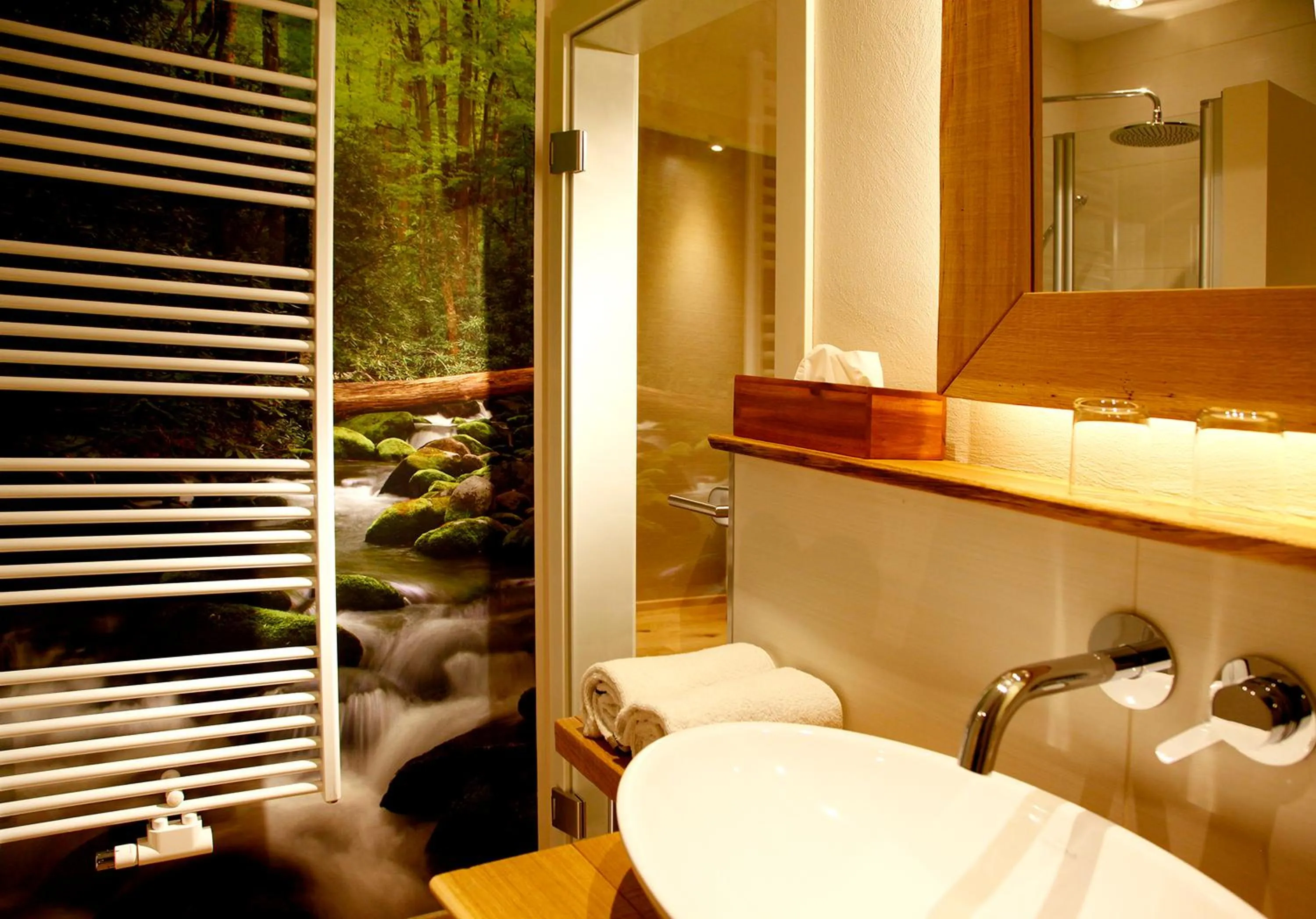 Shower in Flair Hotel Nieder