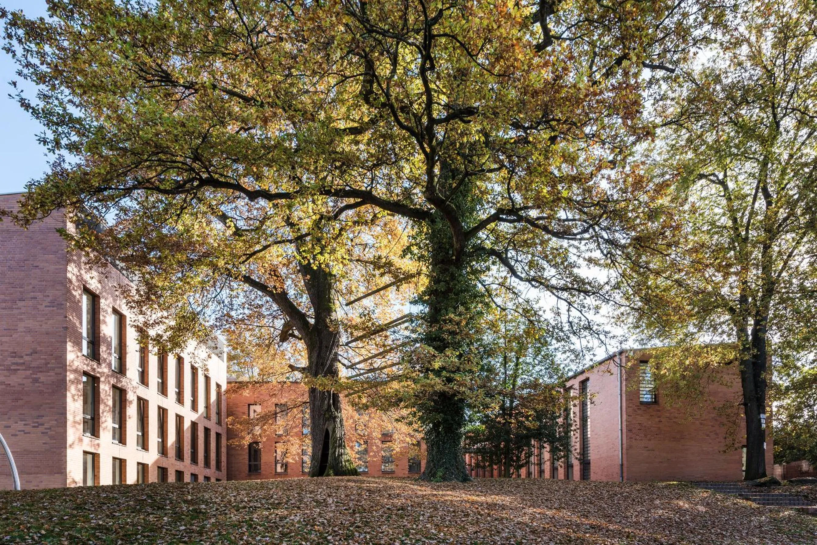 Property building in Arcadeon