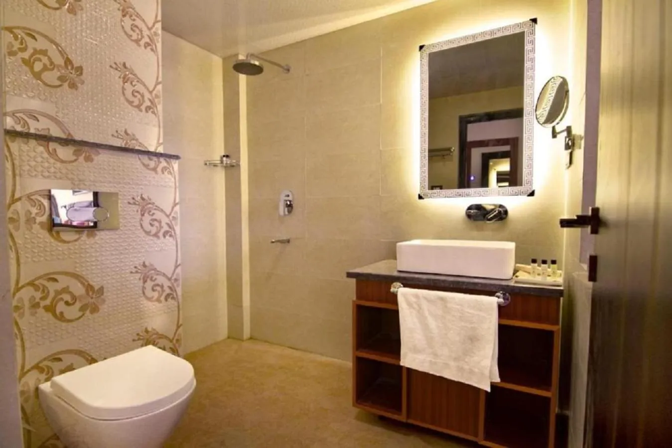 Toilet in Hotel Paradise Ladakh