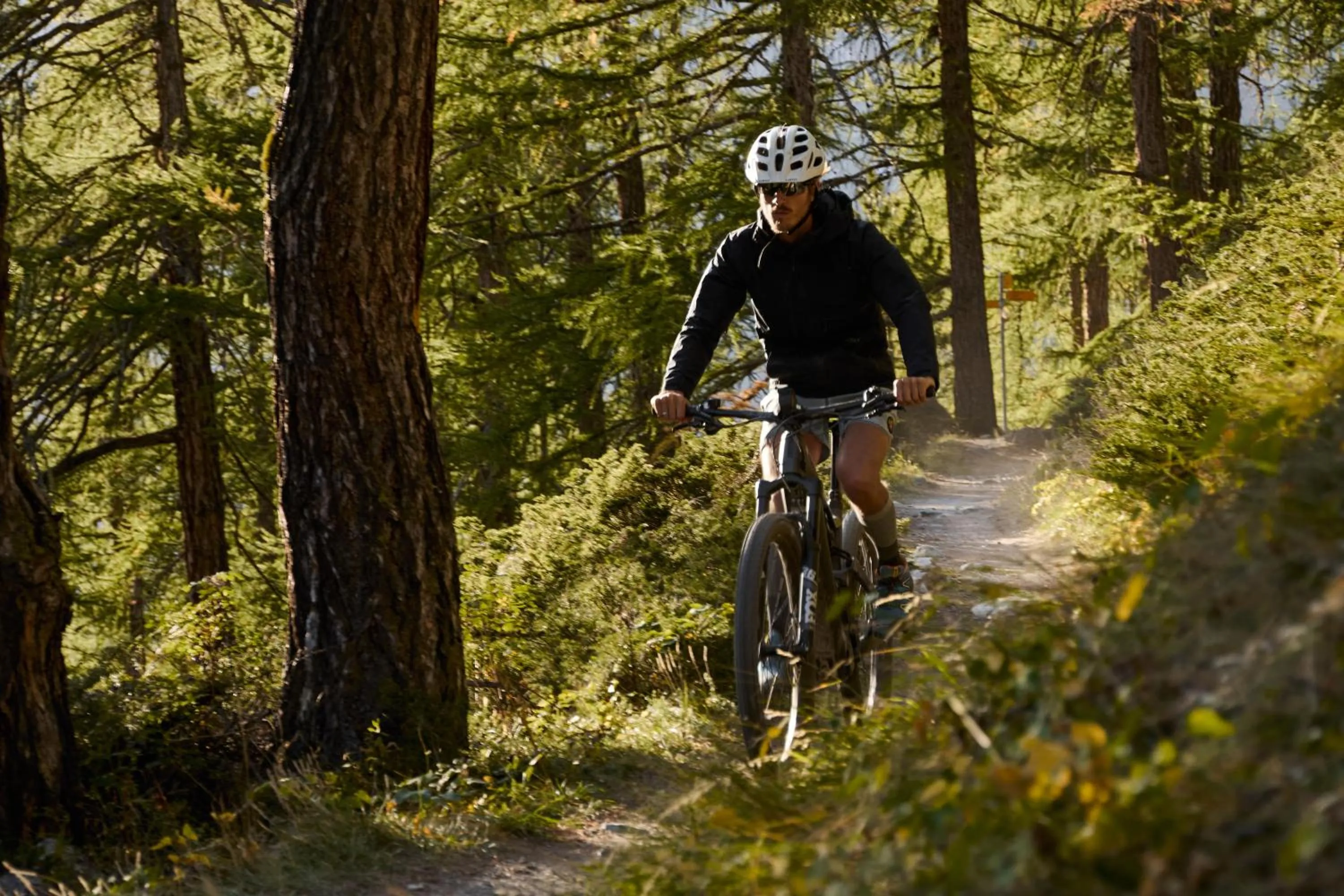 Natural landscape in SCHLOSS Zermatt - CBD & Adaptogenic Spa and Sport Hotel