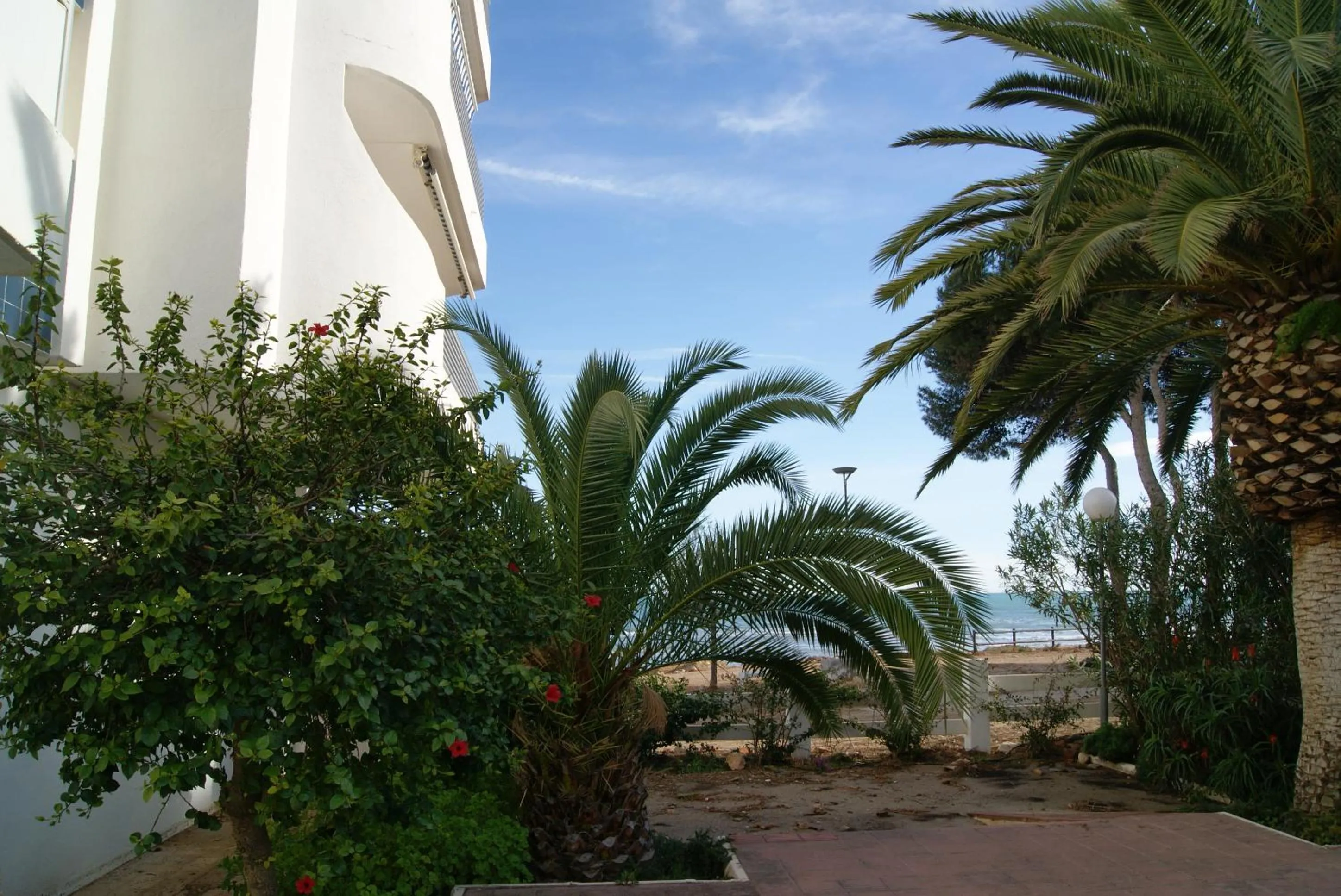 Garden in Kione Las Margaritas