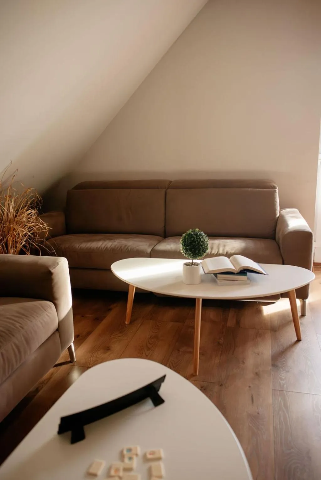 Evening entertainment in Apartamenty Pruskie