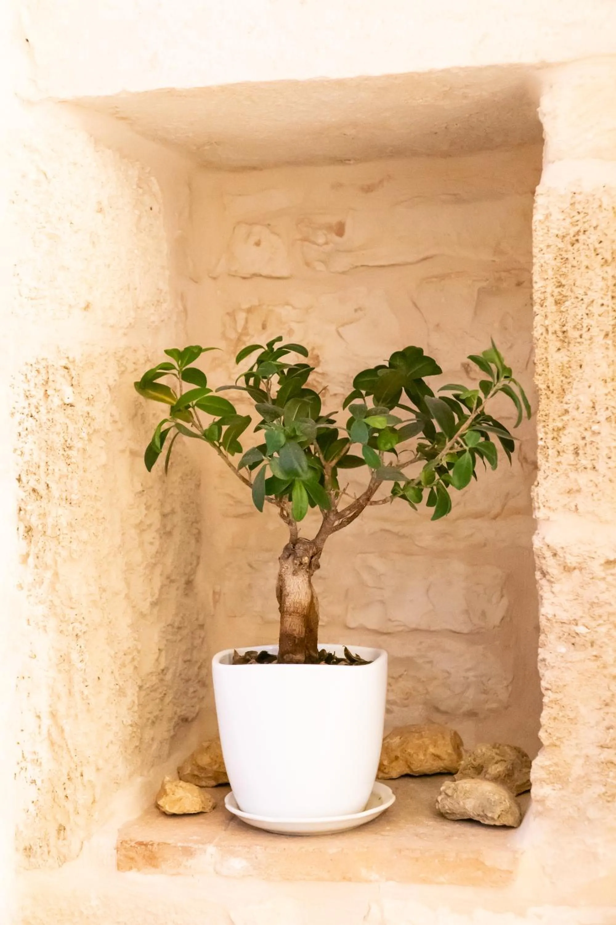 Decorative detail in Vincent Suite Luxury B&B