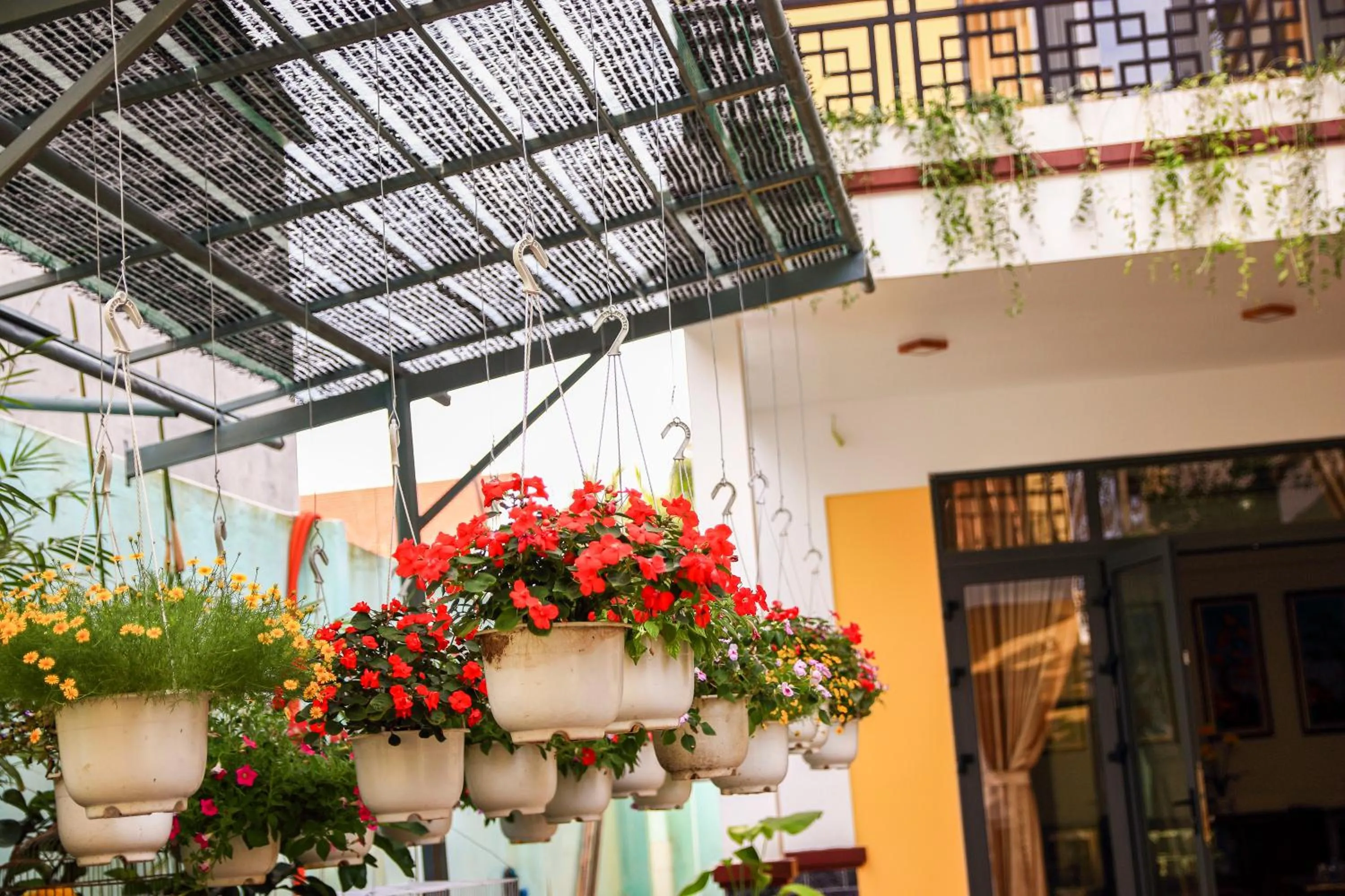 Property building in Hoi An Town Of Viet House Homestay