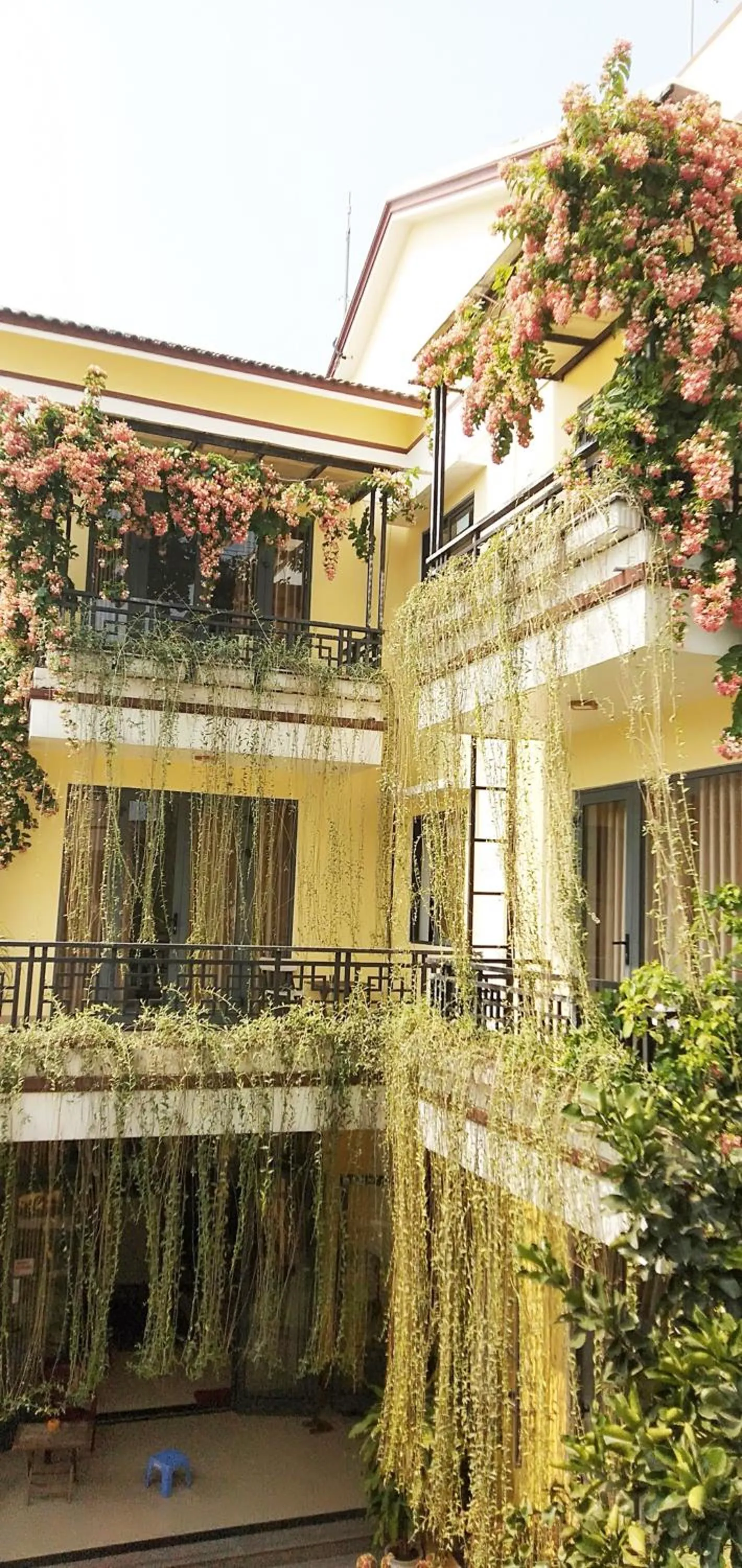 Property building in Hoi An Town Of Viet House Homestay