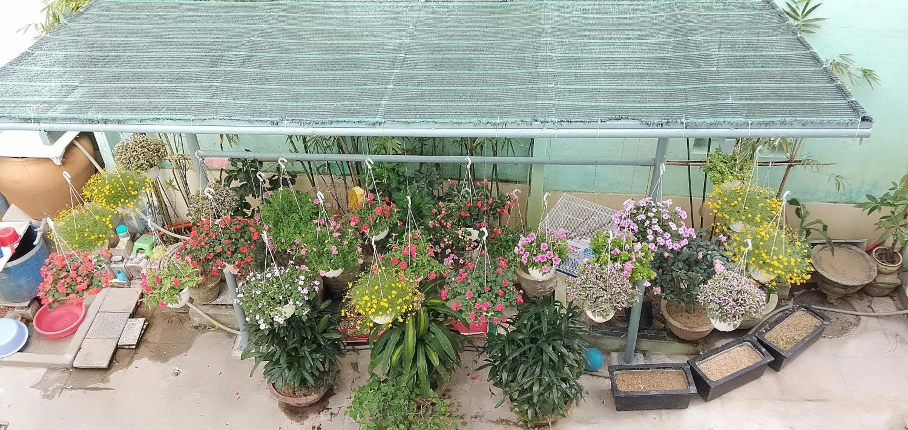 Garden in Hoi An Town Of Viet House Homestay