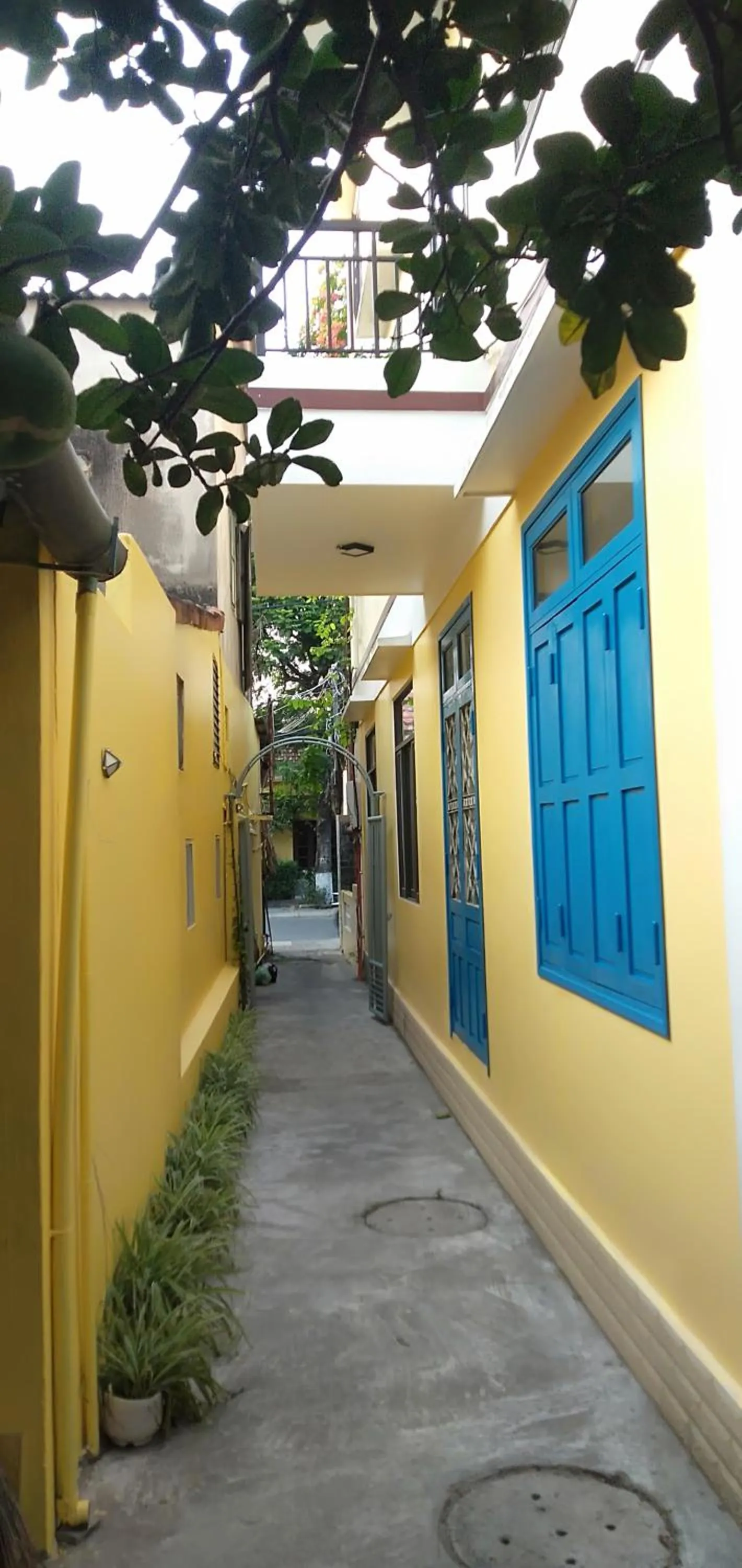 Property building in Hoi An Town Of Viet House Homestay