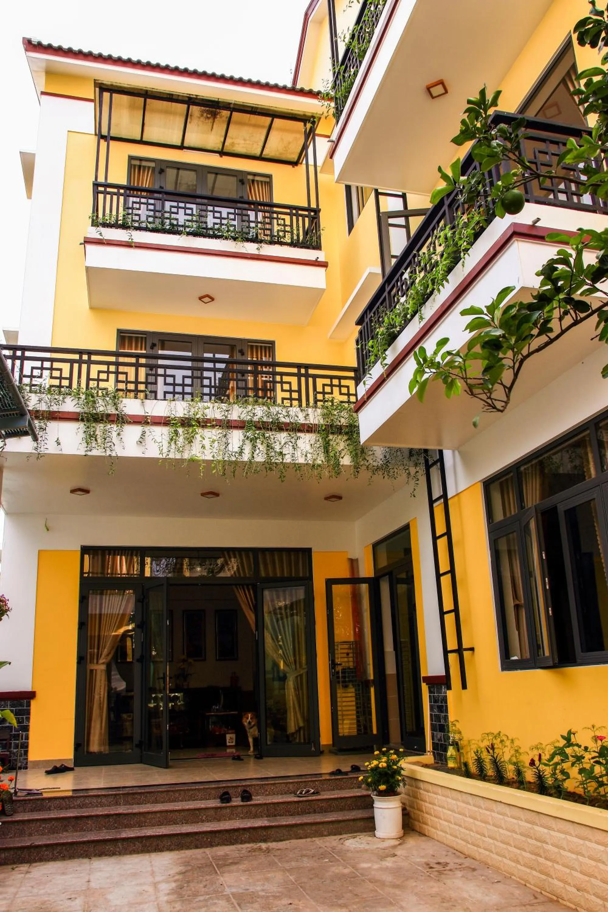 Property building in Hoi An Town Of Viet House Homestay