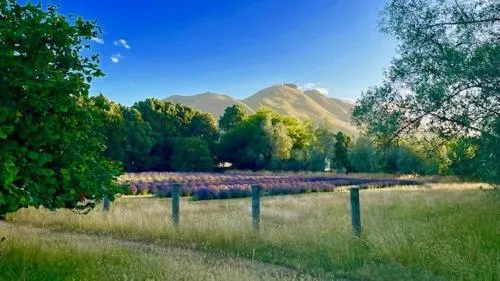 Quail Farm, Colonial charm