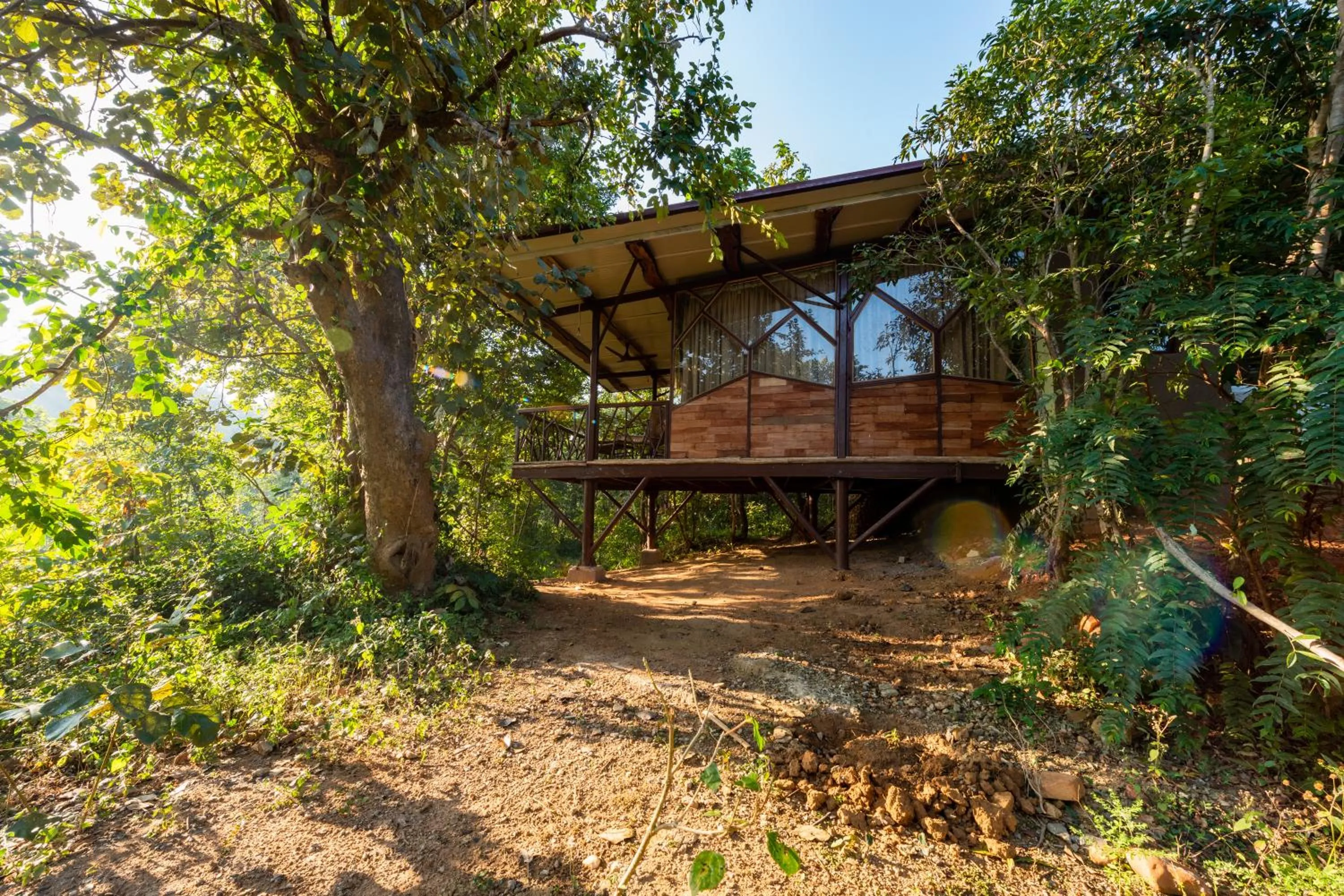 Natural landscape in Kanha Jungle Camp
