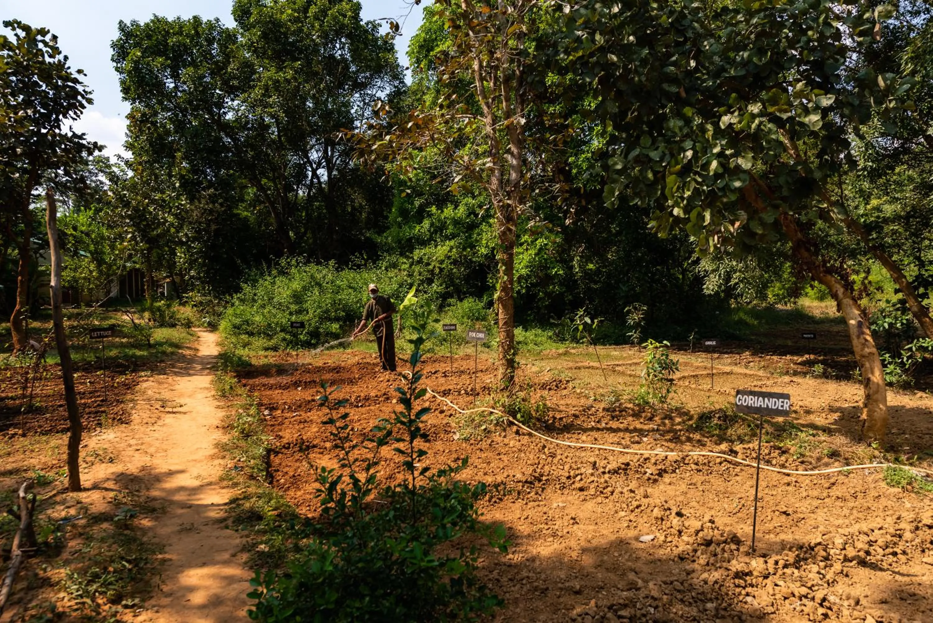 Garden in Kanha Jungle Camp