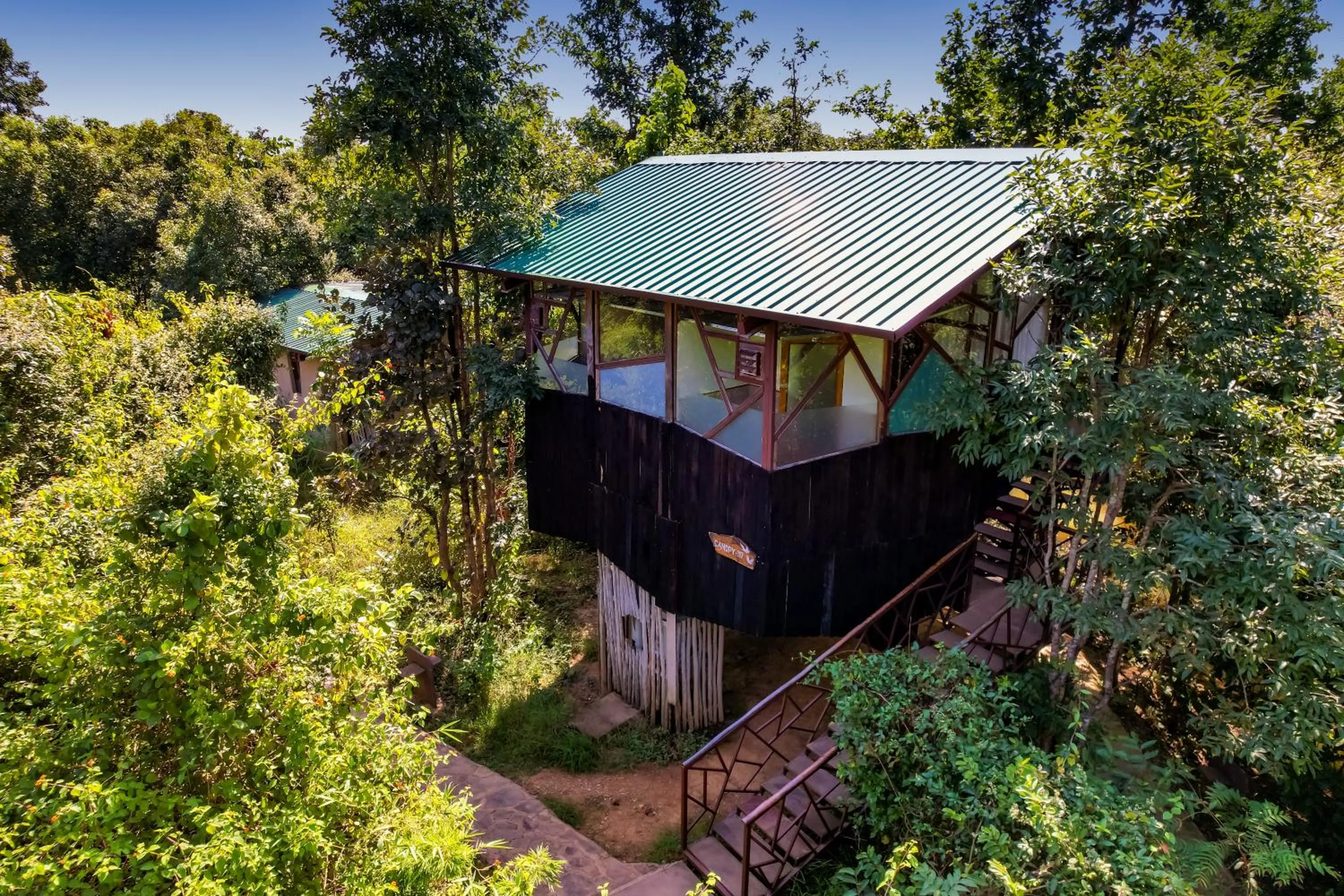 View (from property/room) in Kanha Jungle Camp