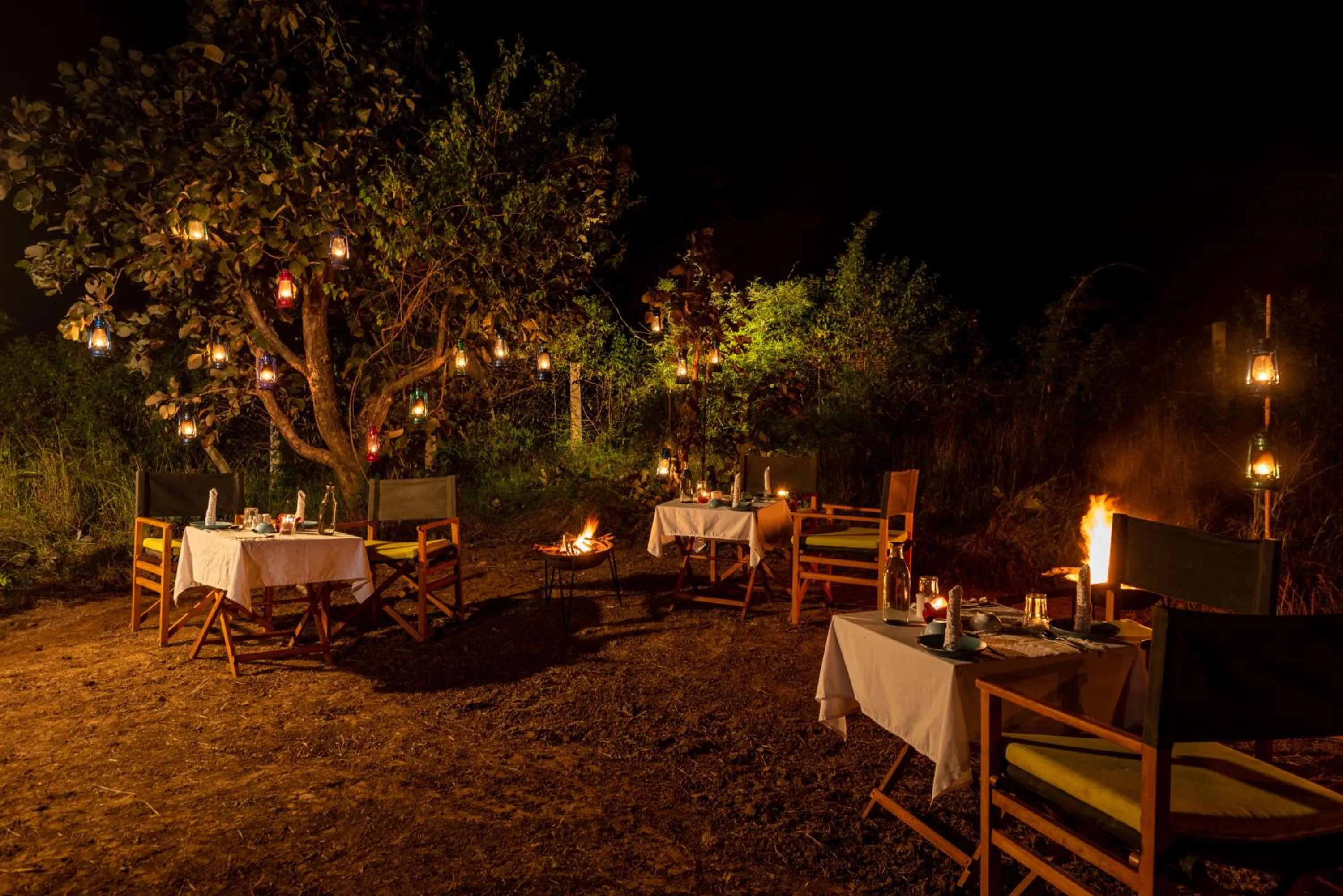 Winter in Kanha Jungle Camp