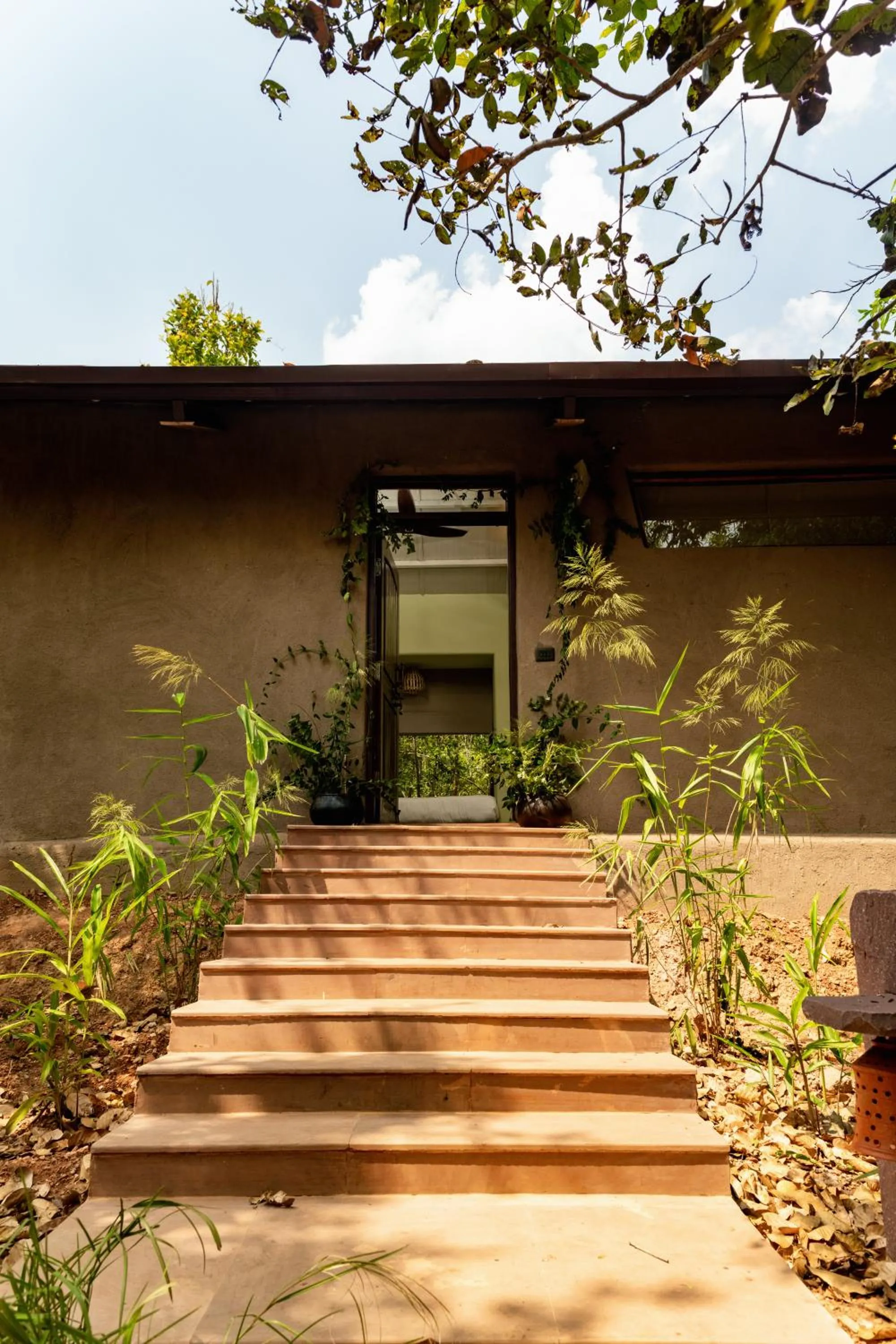 View (from property/room) in Kanha Jungle Camp