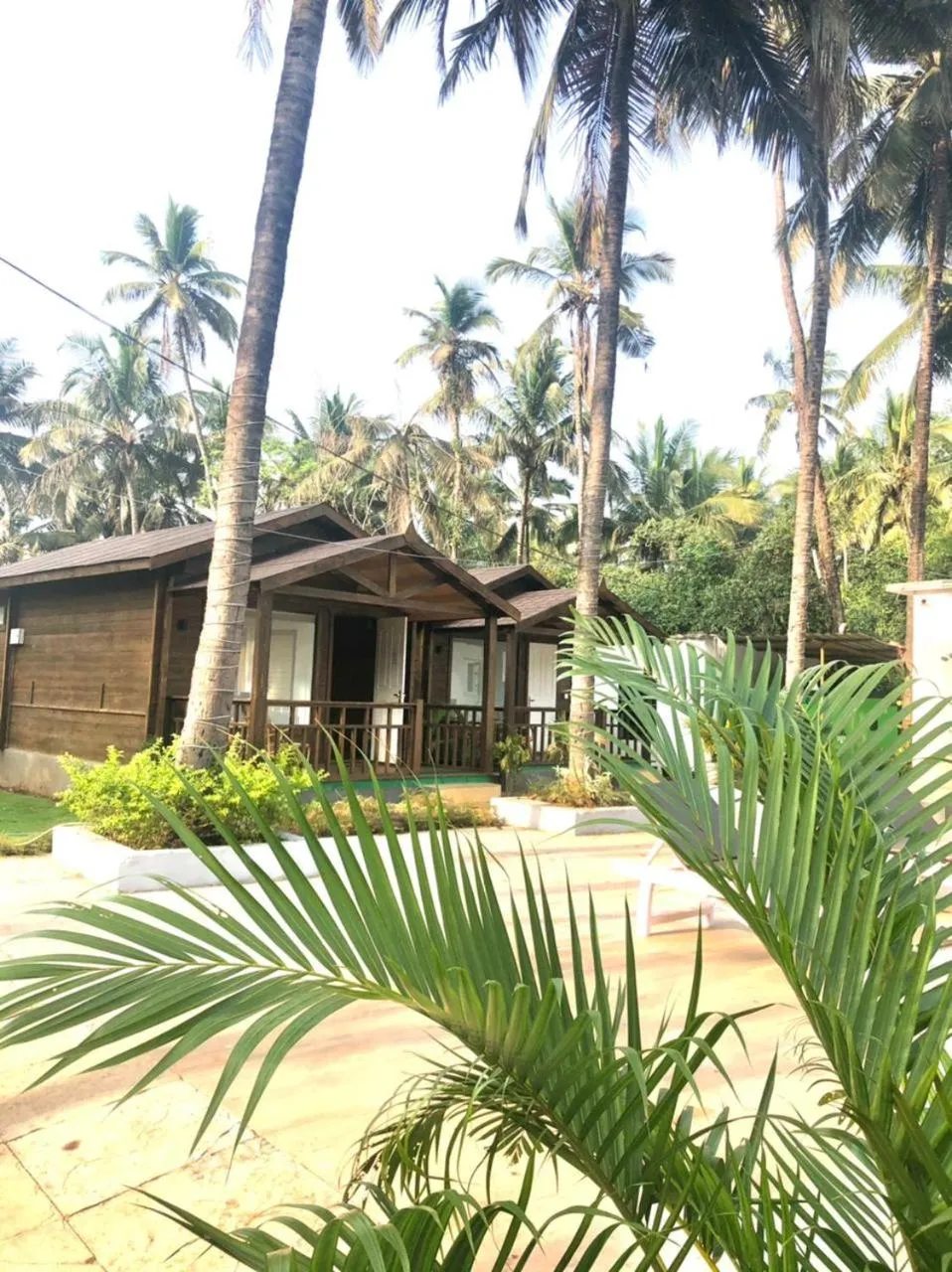 Property building in Golden Sands Resort, Morjim
