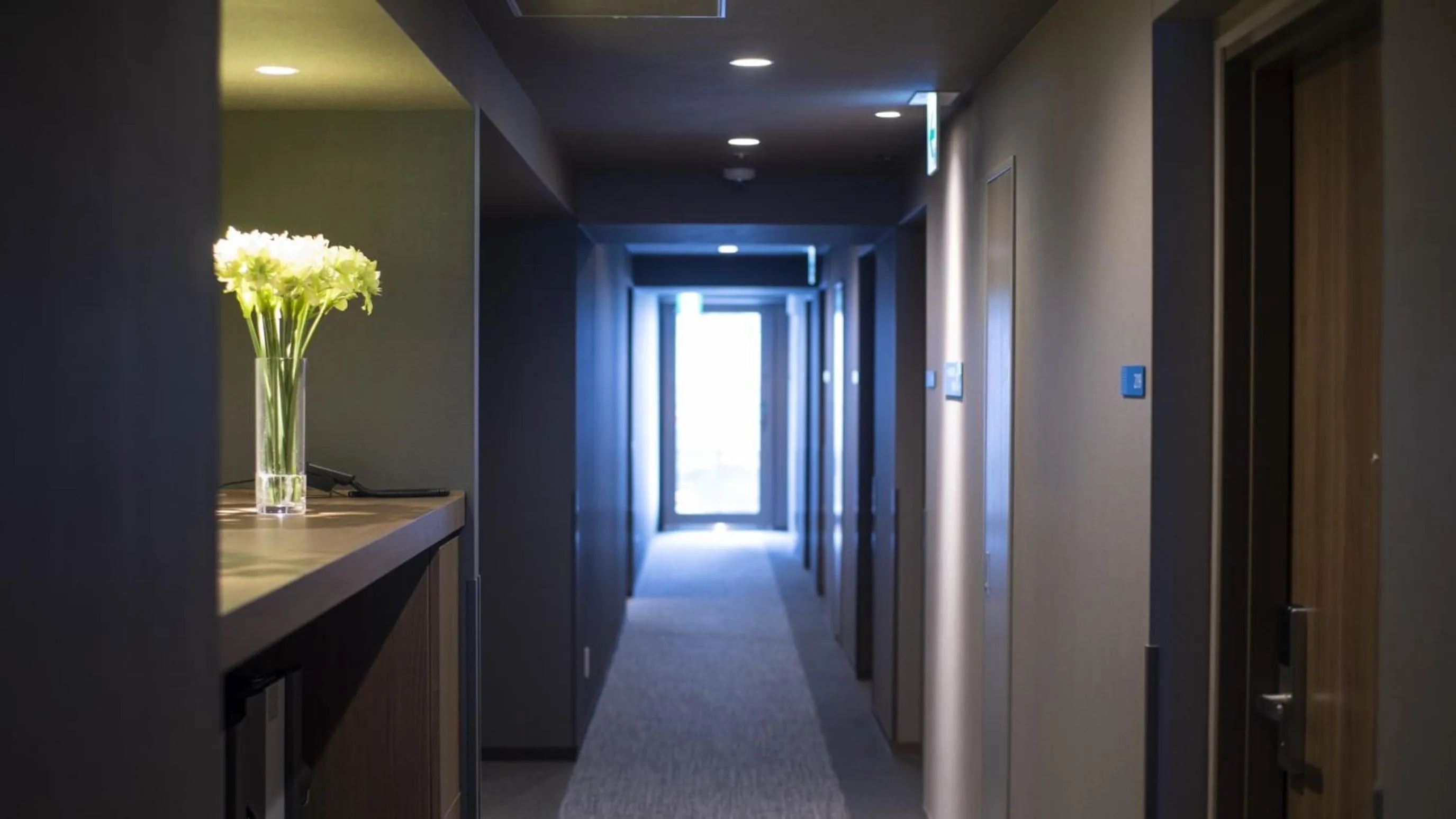 Dormy Inn Kobe Motomachi Natural Hot Springs