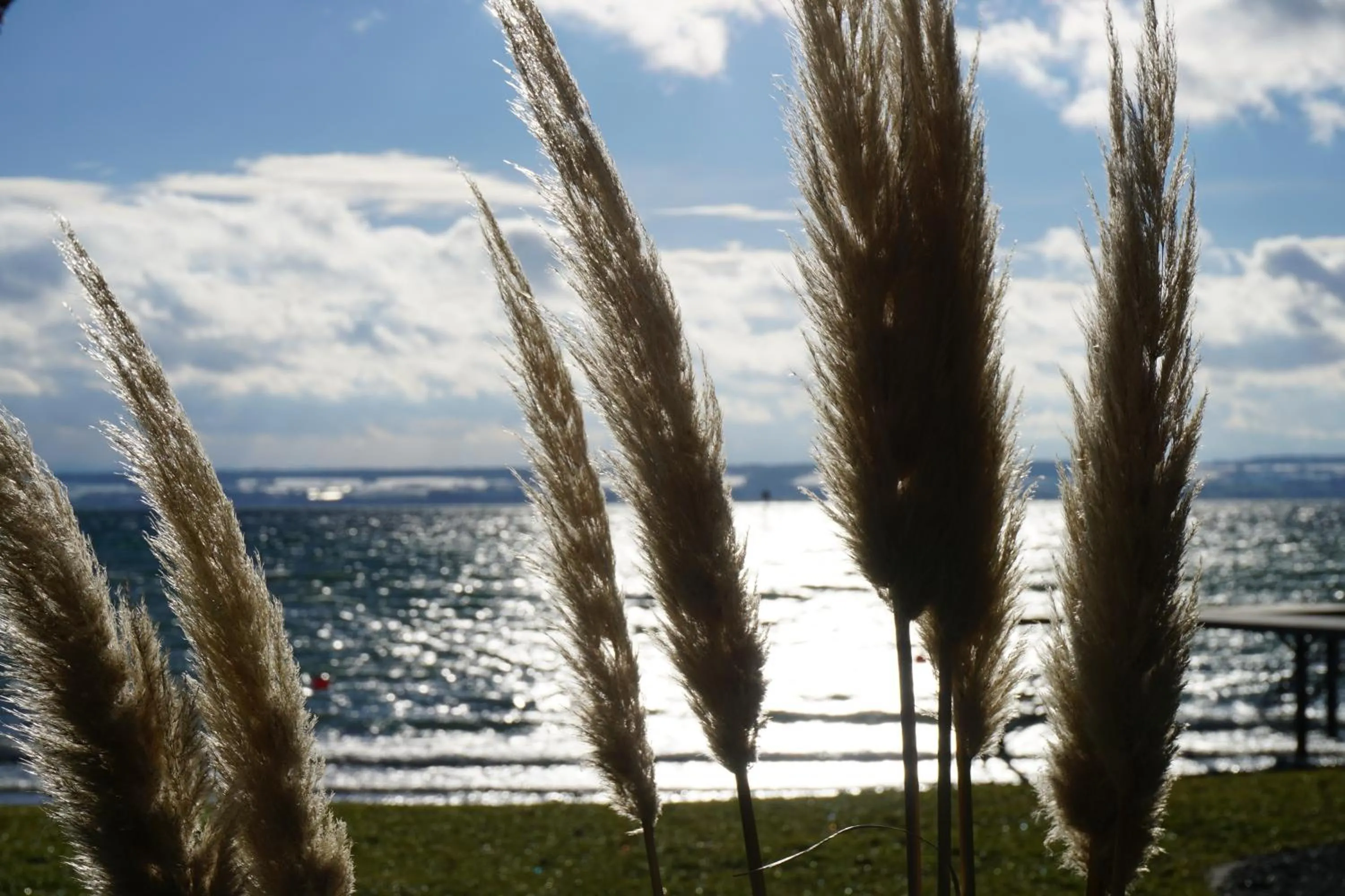 Beach in Hotel-Restaurant Alpha