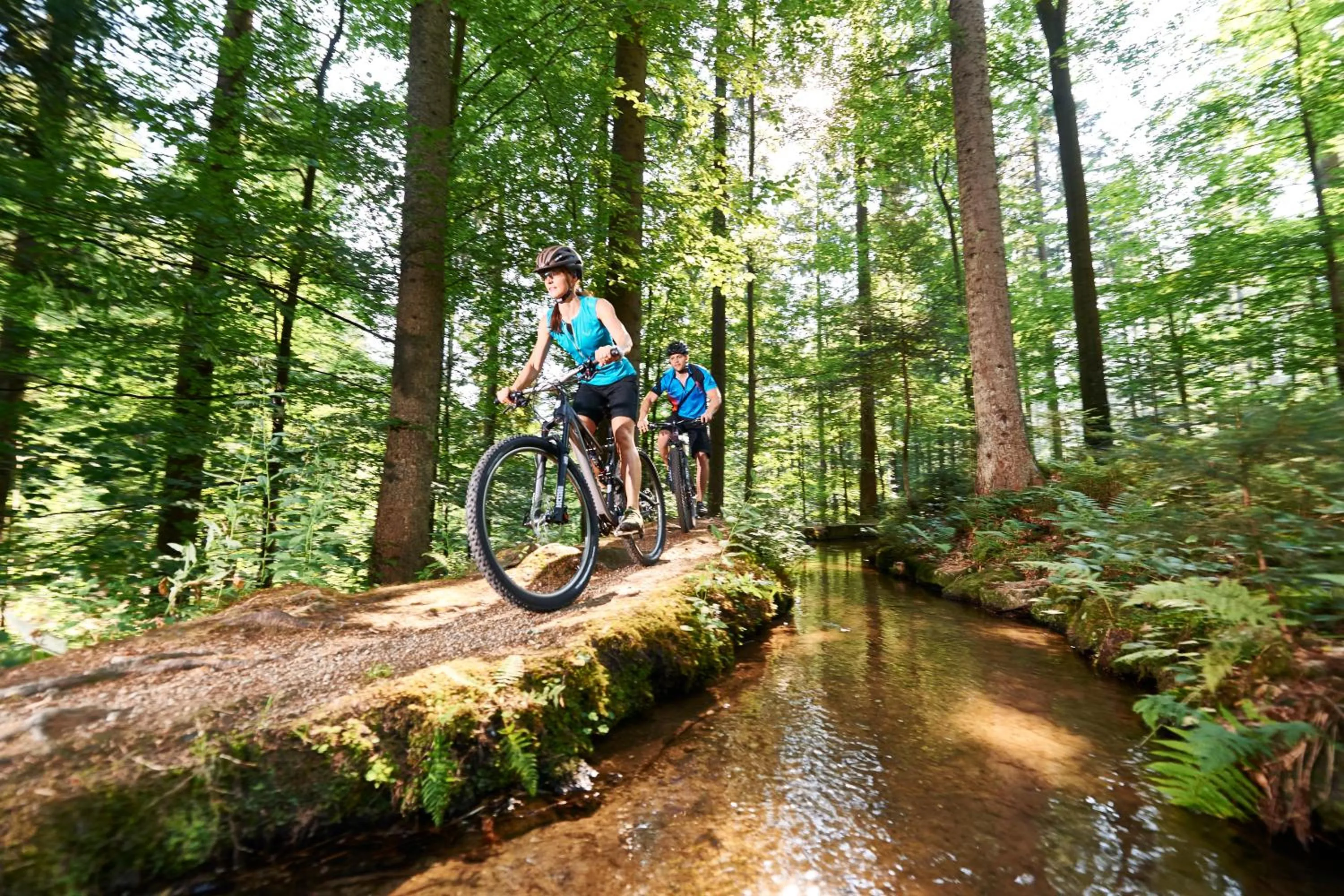 Day in Ferienhotel Hubertus