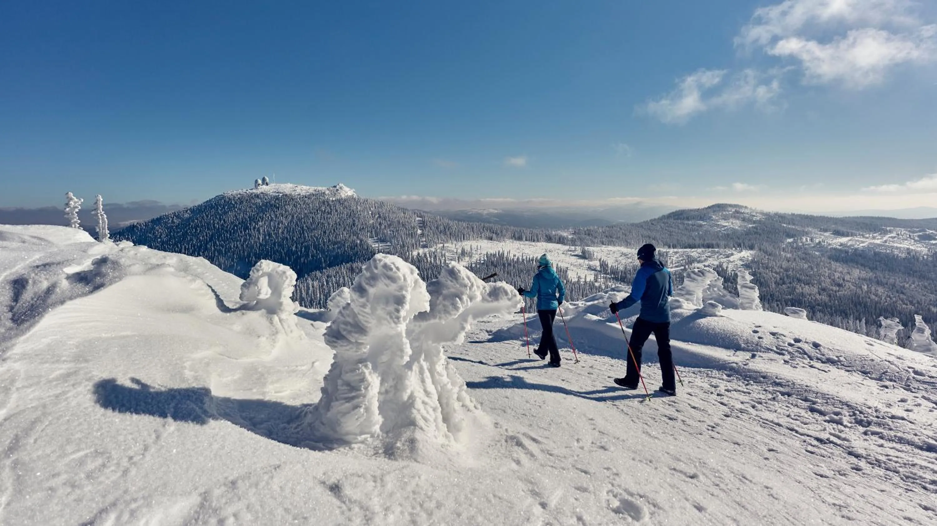 Natural landscape in Ferienhotel Hubertus