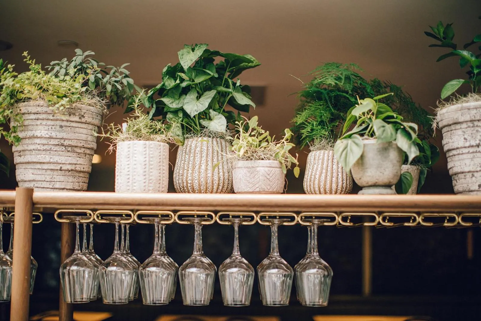 Lounge or bar in Hotel Emeline