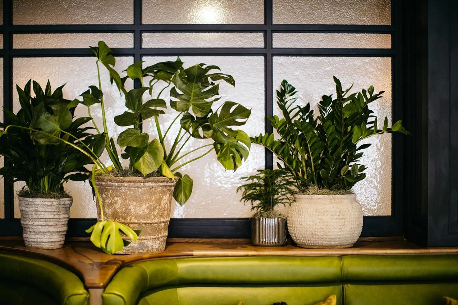 Lounge or bar in Hotel Emeline