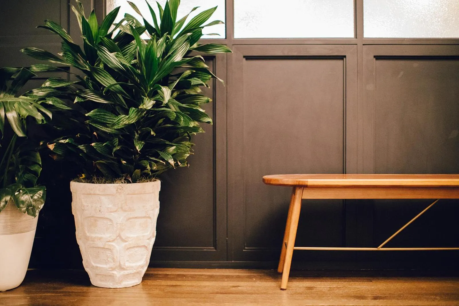 Lounge or bar in Hotel Emeline