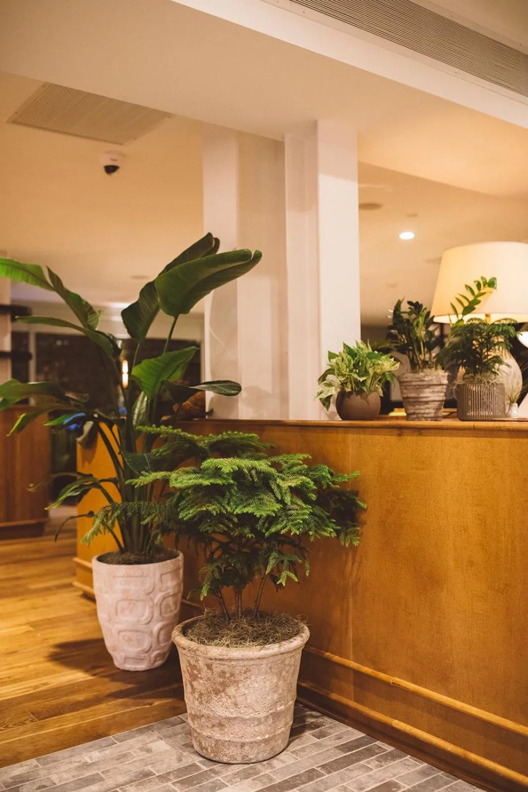 Restaurant/places to eat in Hotel Emeline